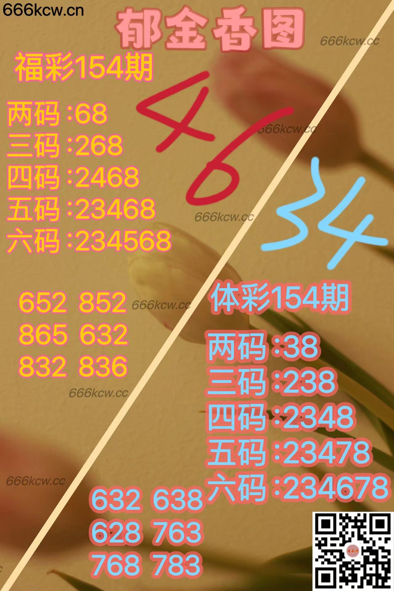 20250613 (21)