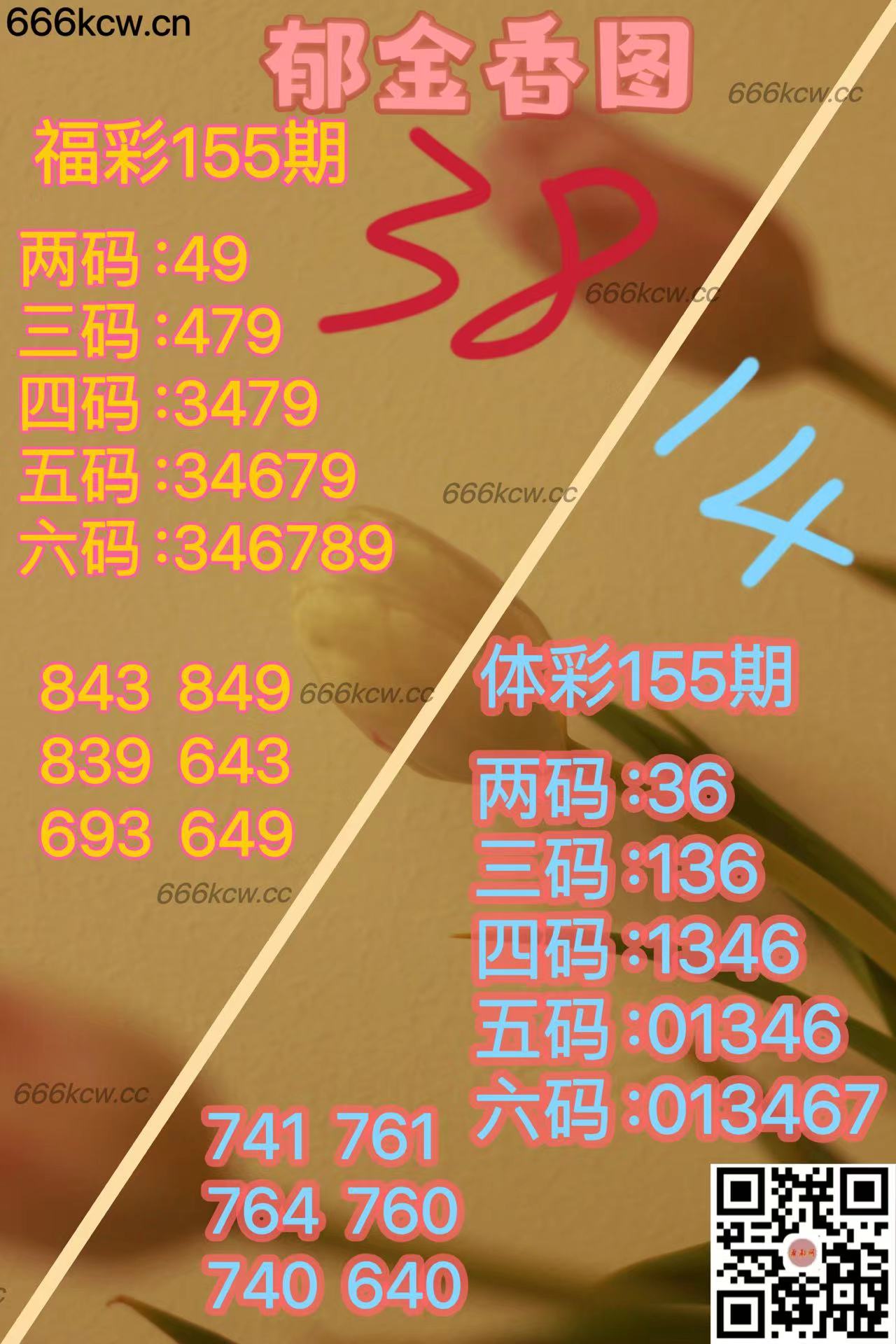 20250614 (3)