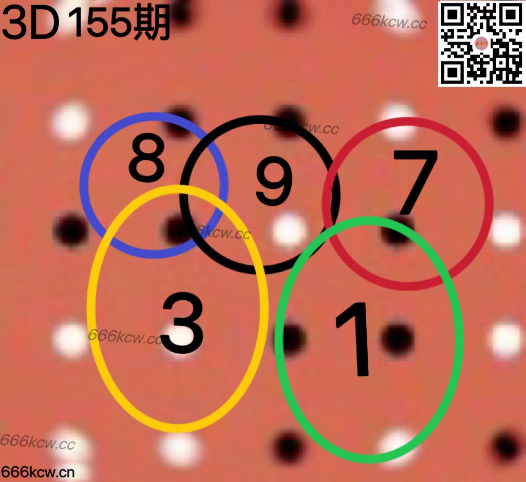 20250614 (26)