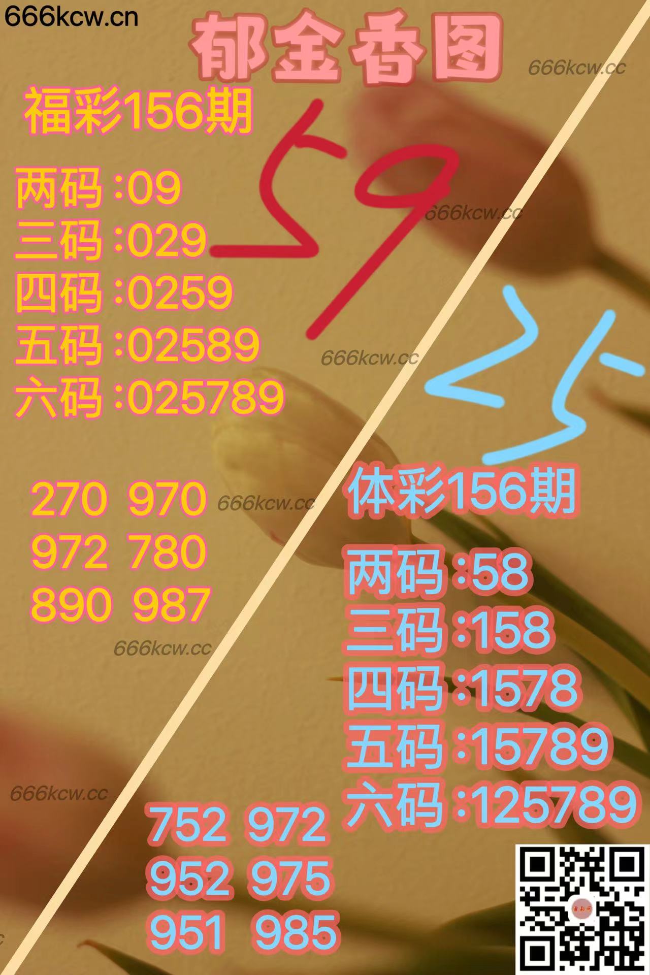 20250615 (5)