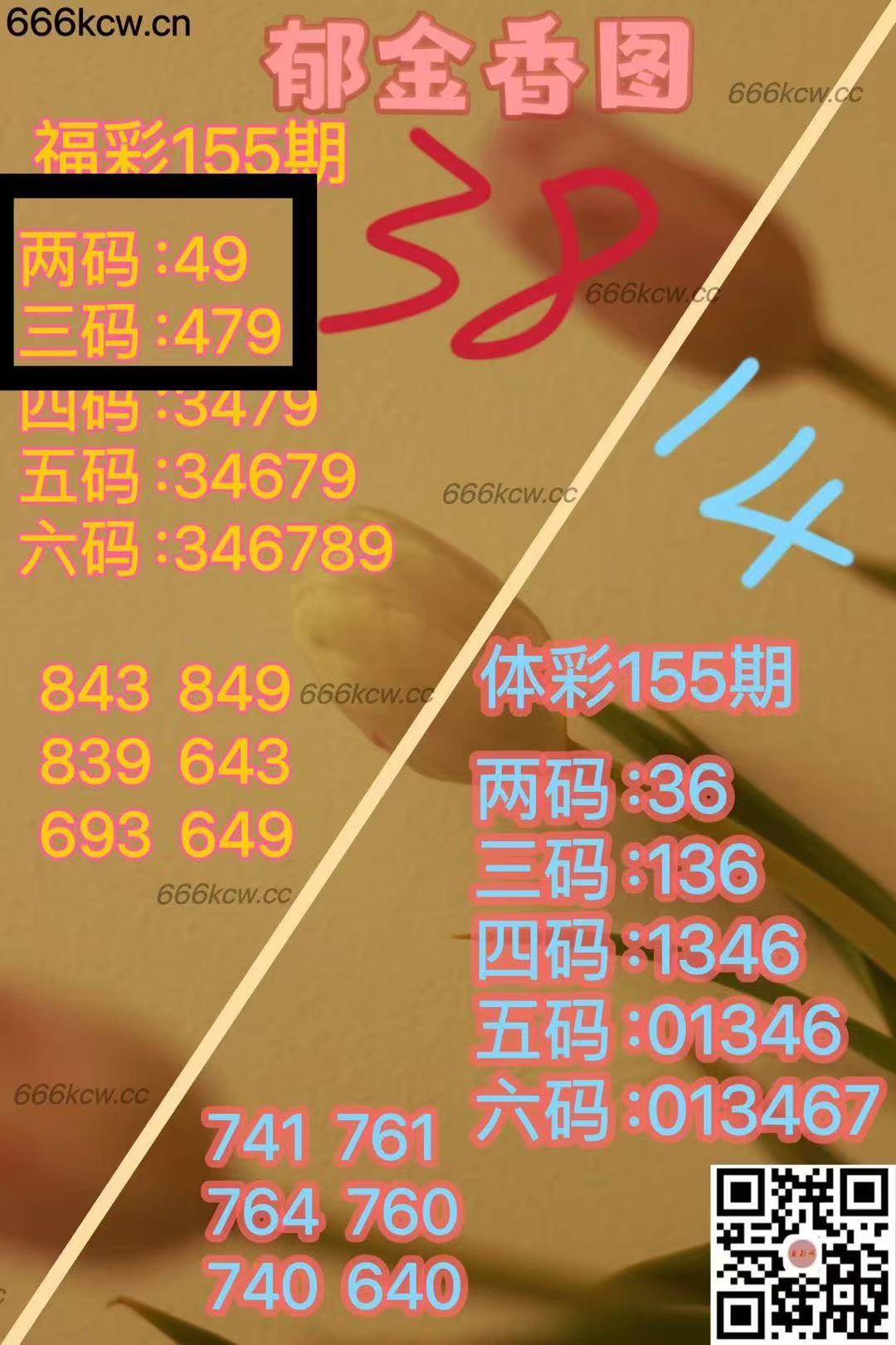 微信图片_202506150234342