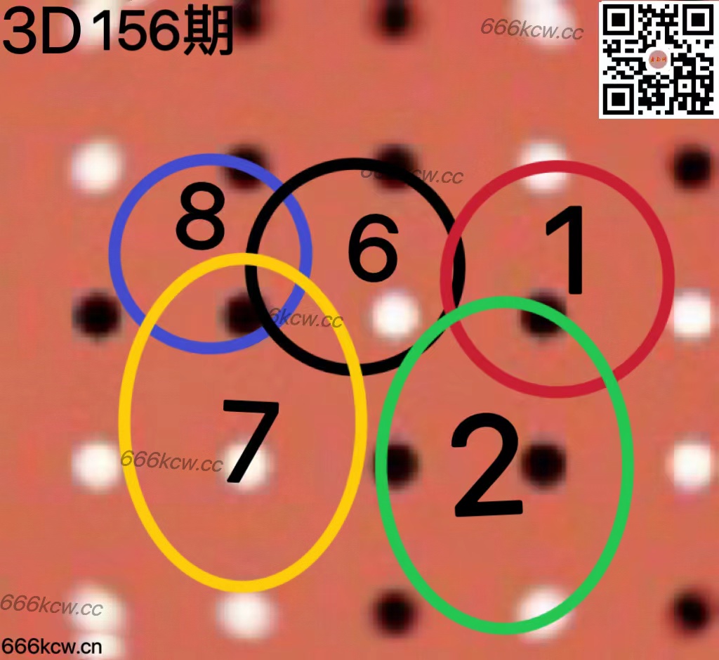 20250615 (36)