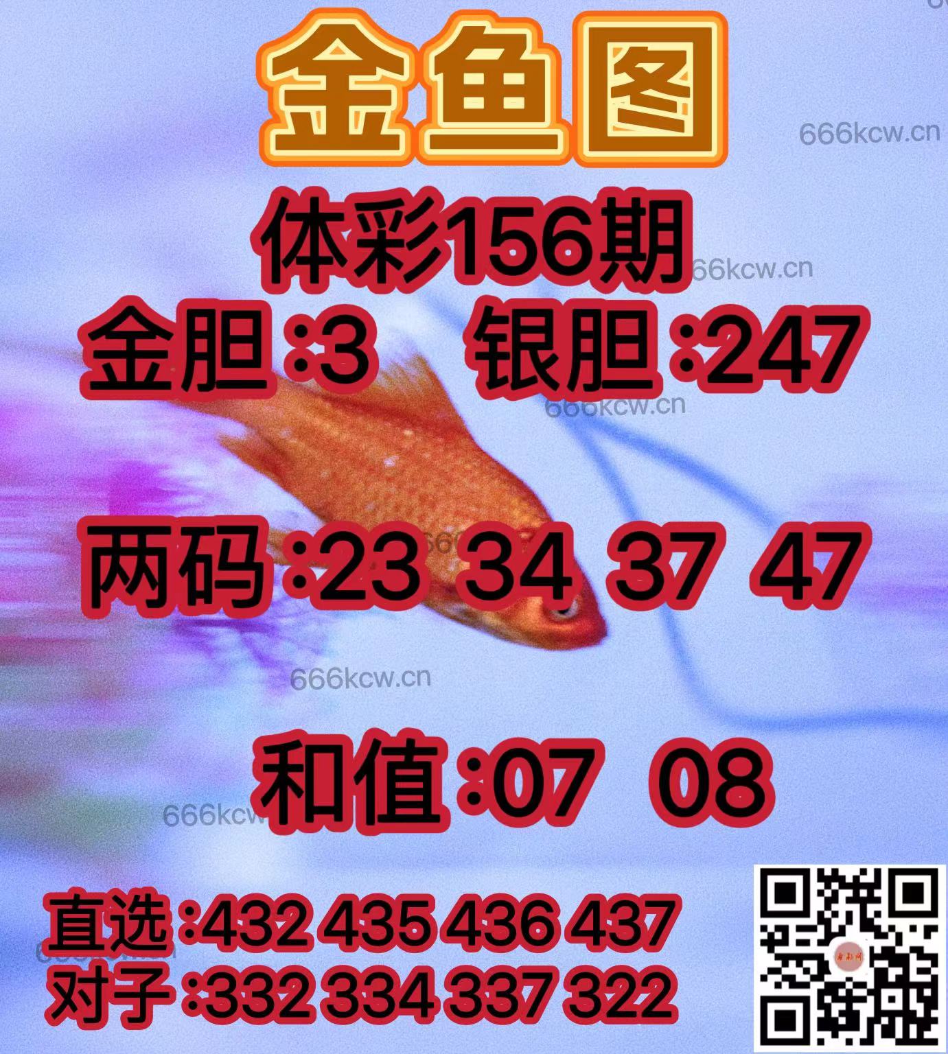 20250615 (41)