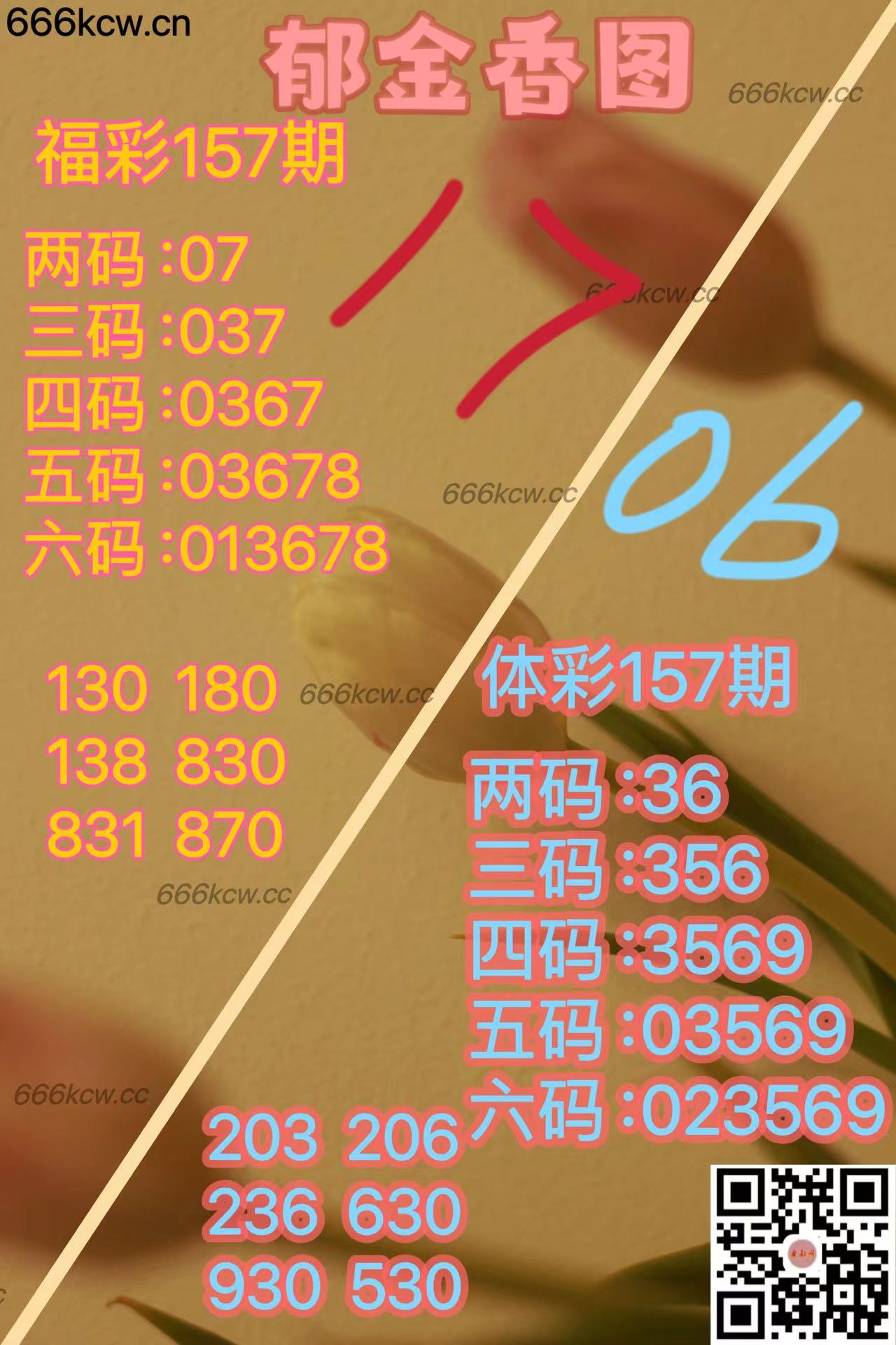 20250616 (24)