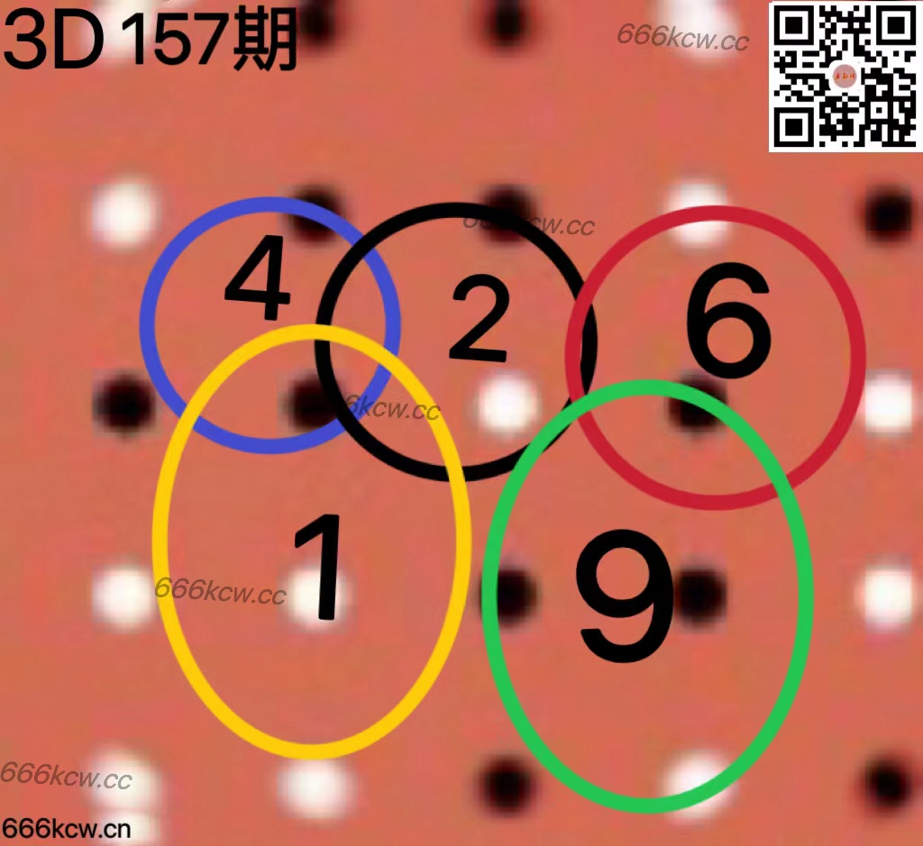 20250616 (39)