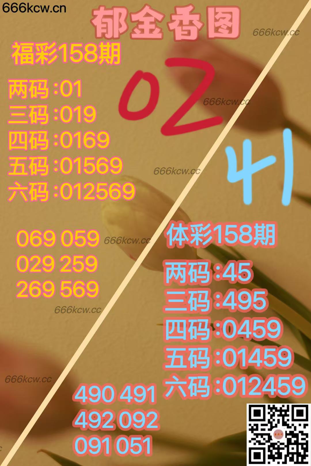 20250617 (26)