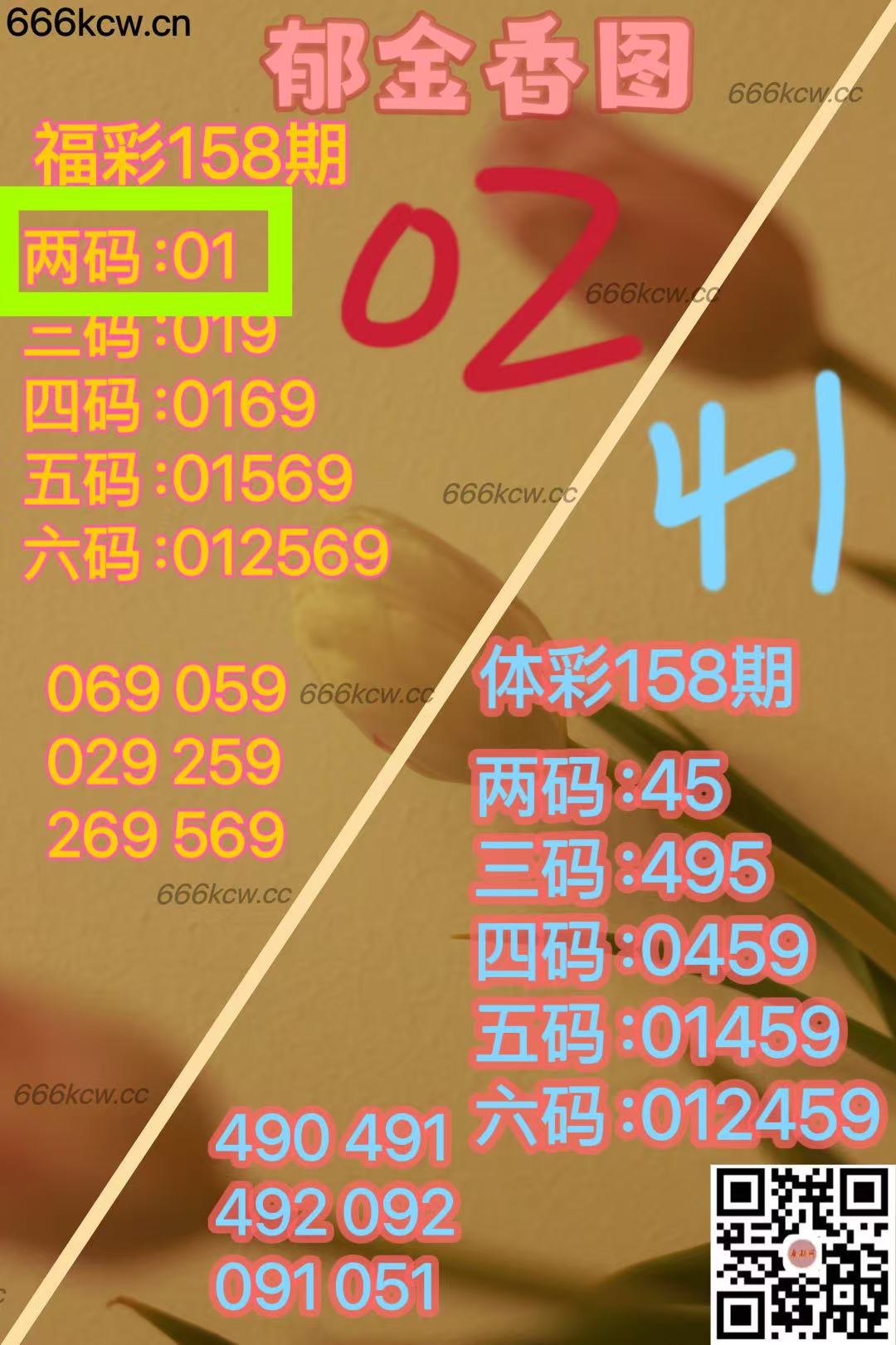 微信图片_20250618004940
