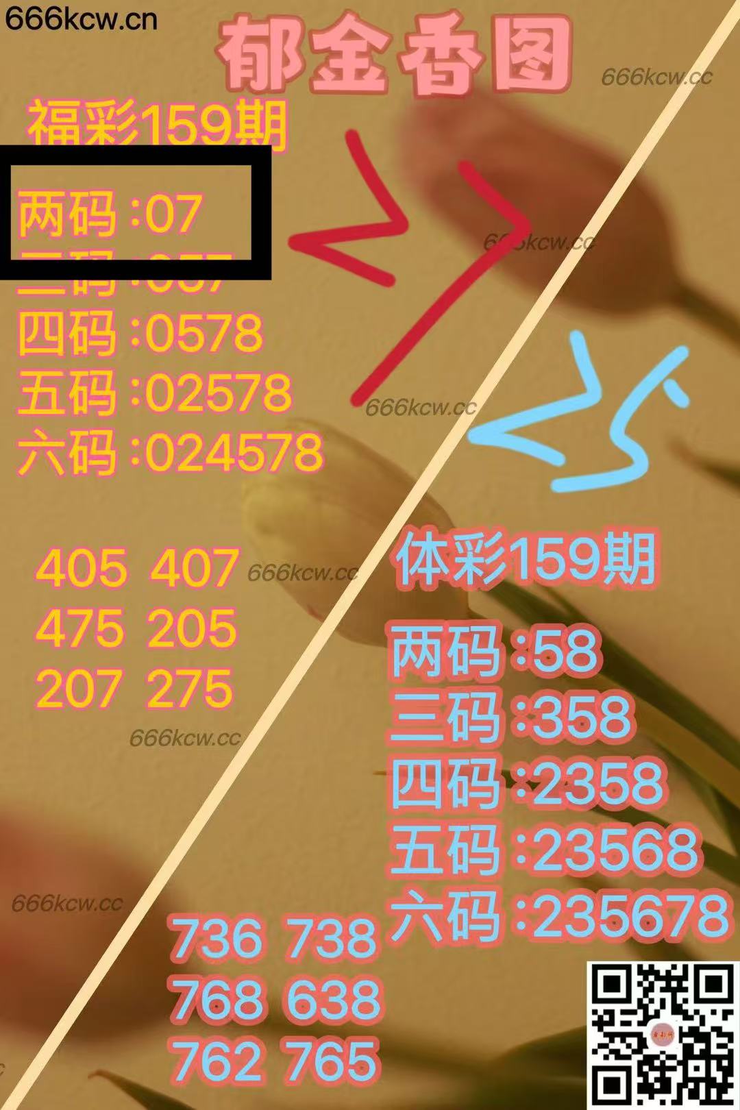 微信图片_202506190150282