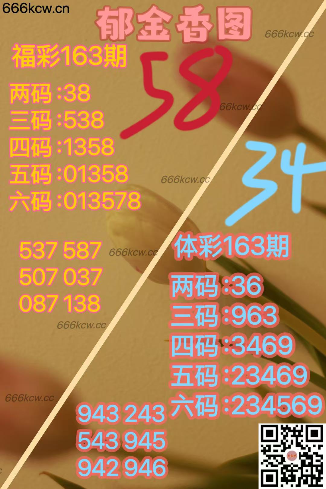 20250622 (2)