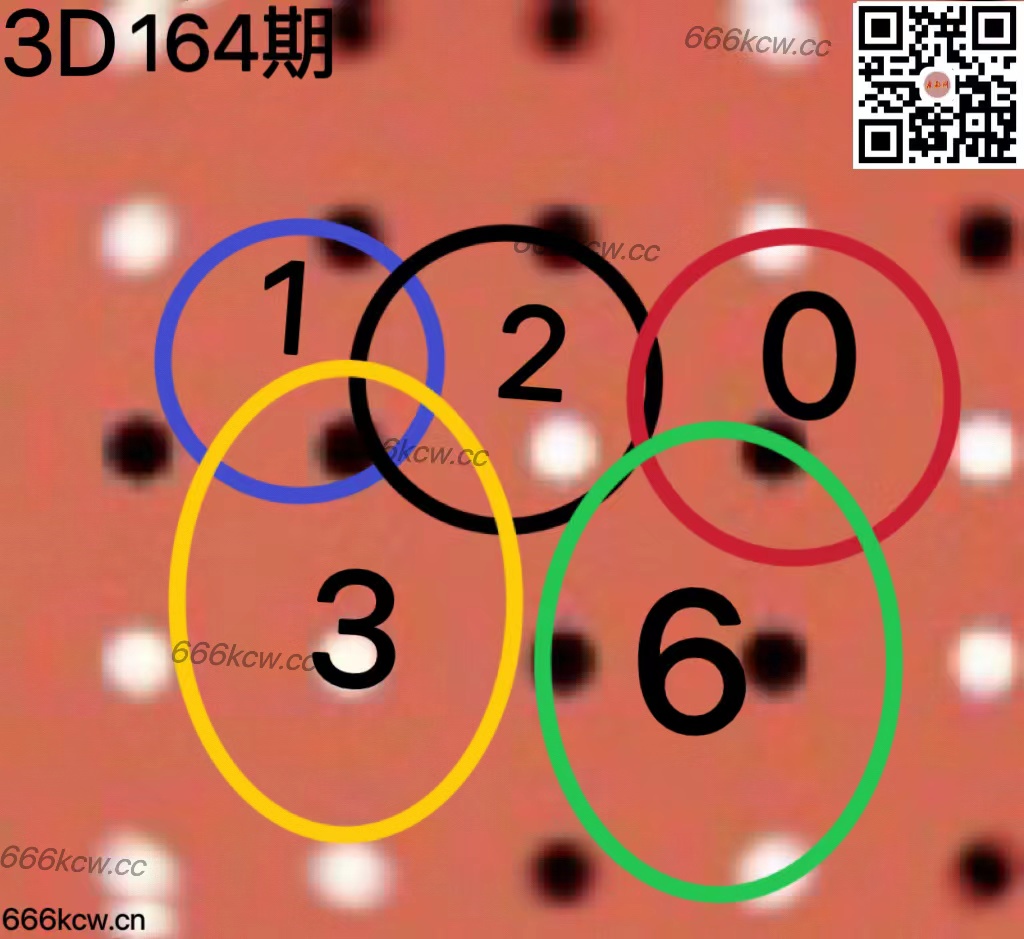 20250623 (9)