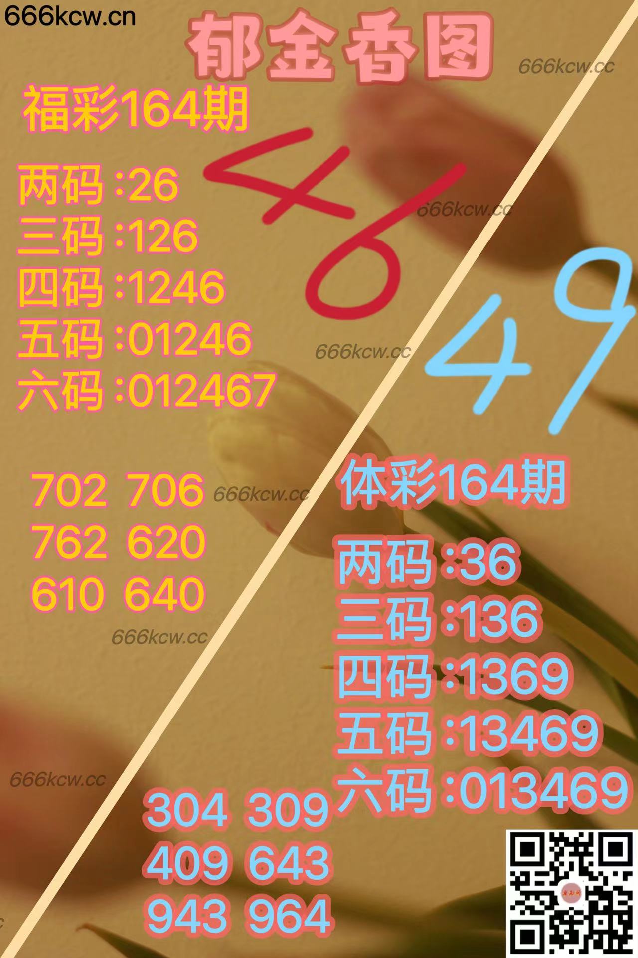 20250623 (39)