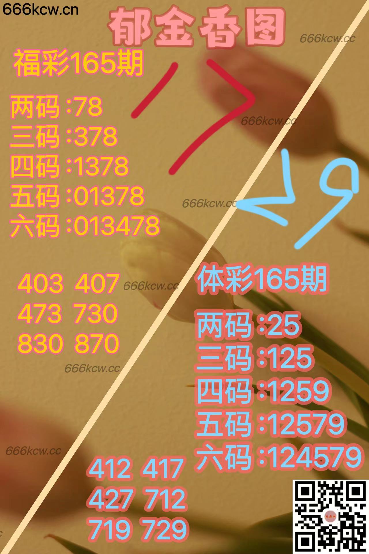 20250624 (43)