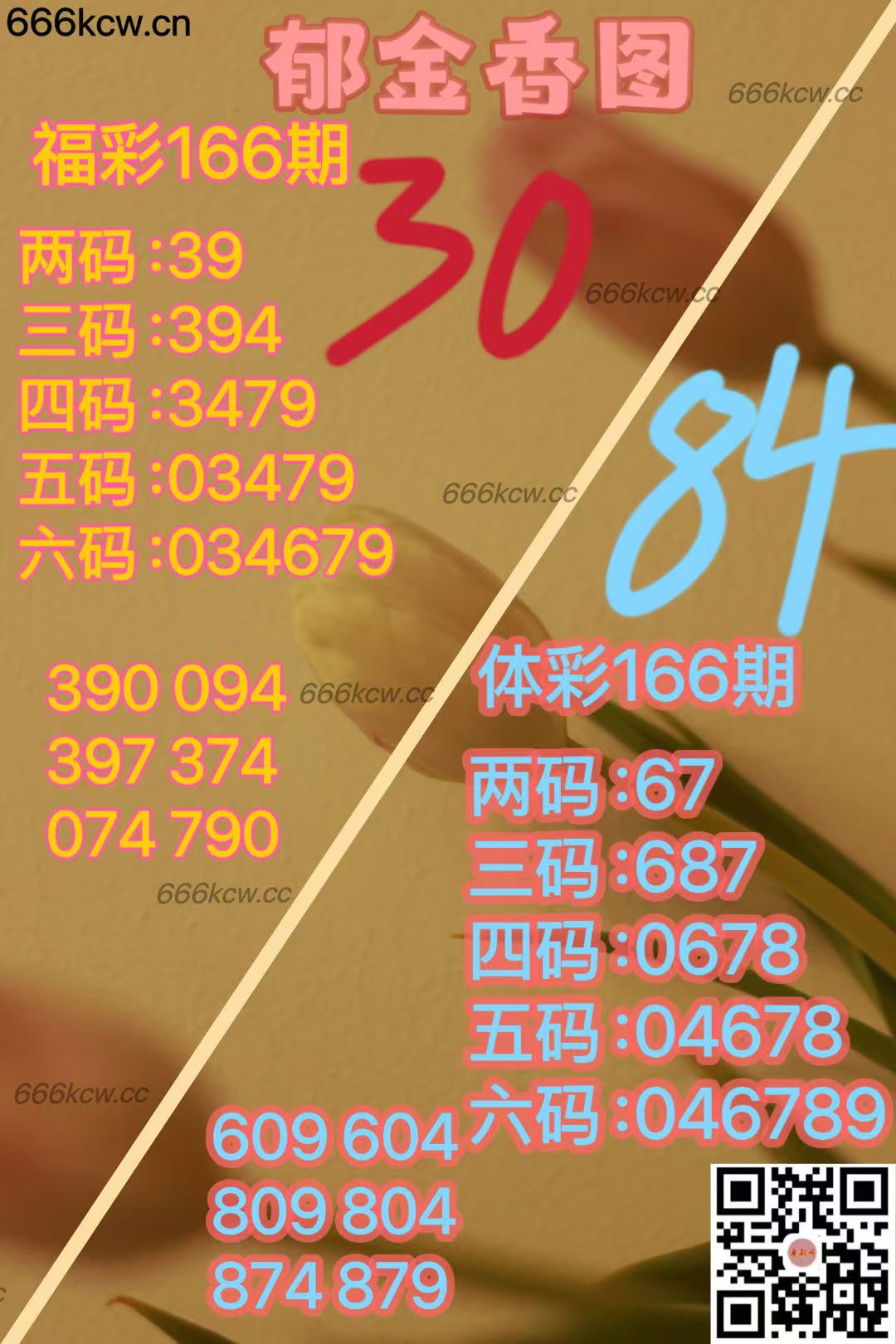 20250625 (6)