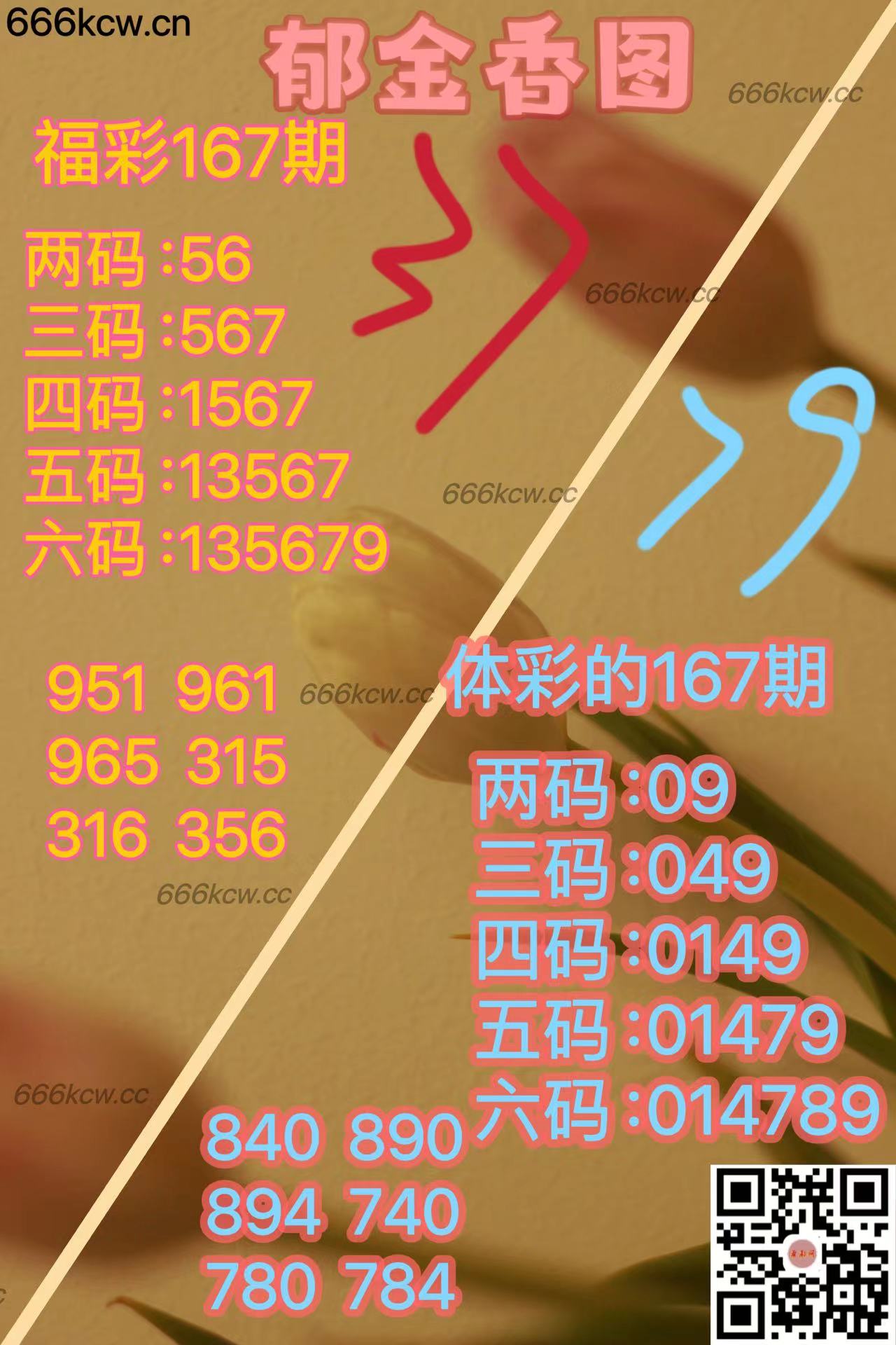 20250626 (35)