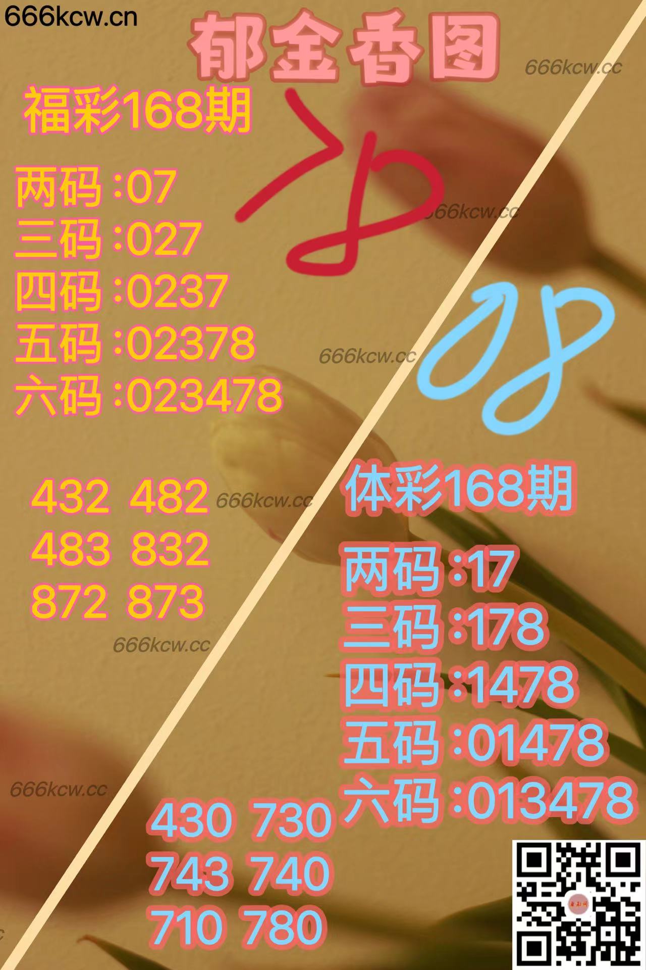 20250627 (35)
