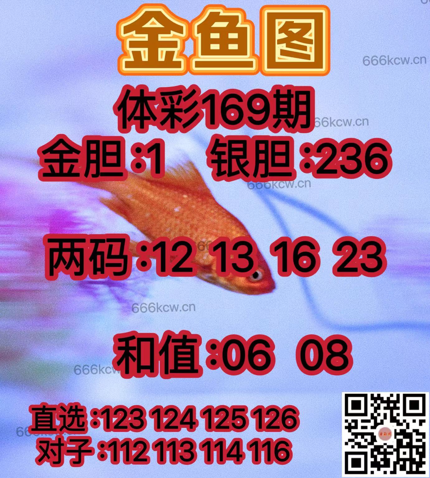 20250628 (19)