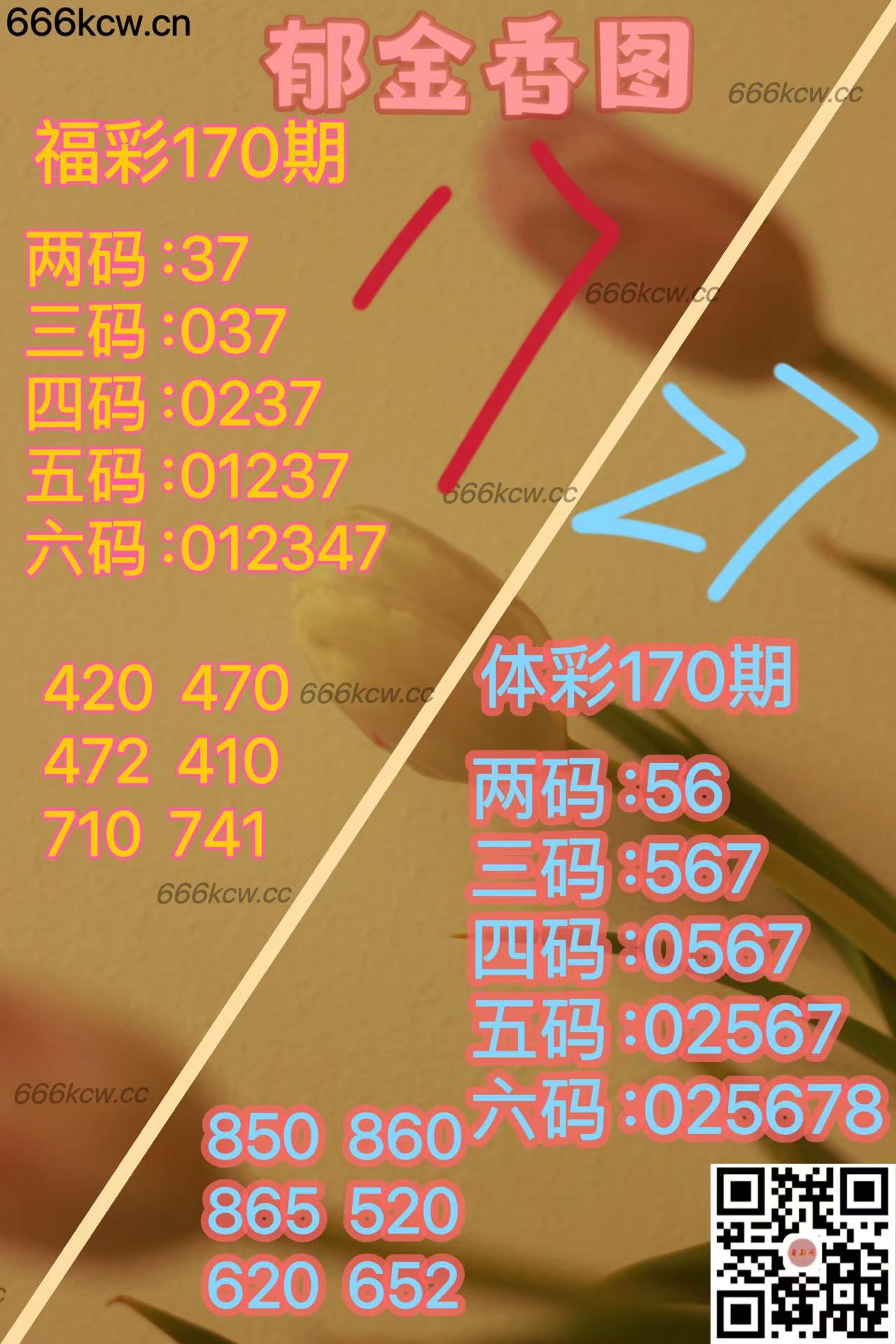 20250629 (21)