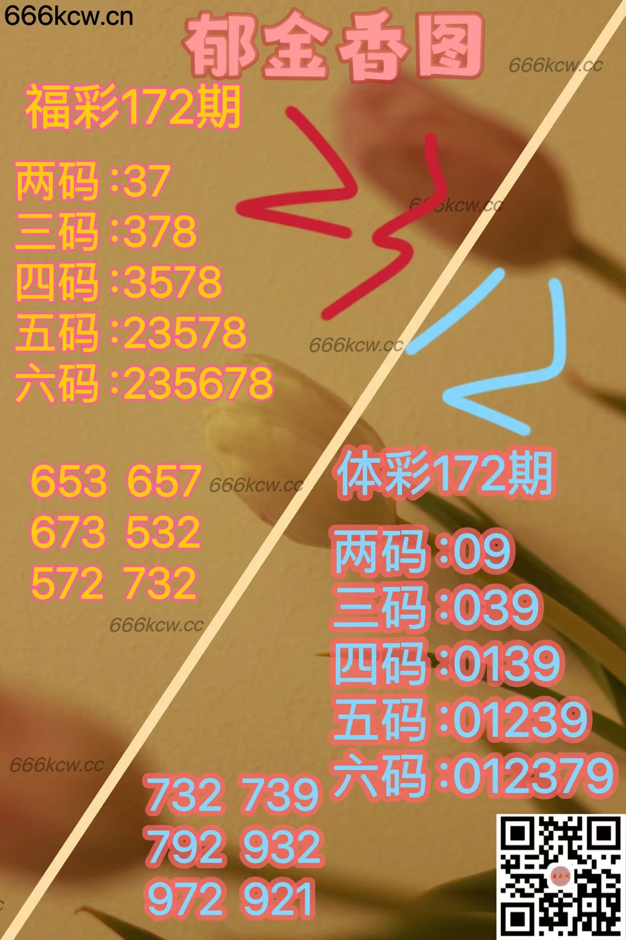 20250701 (35)