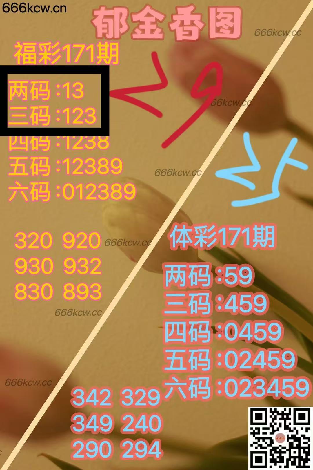 微信图片_20250701051758_344
