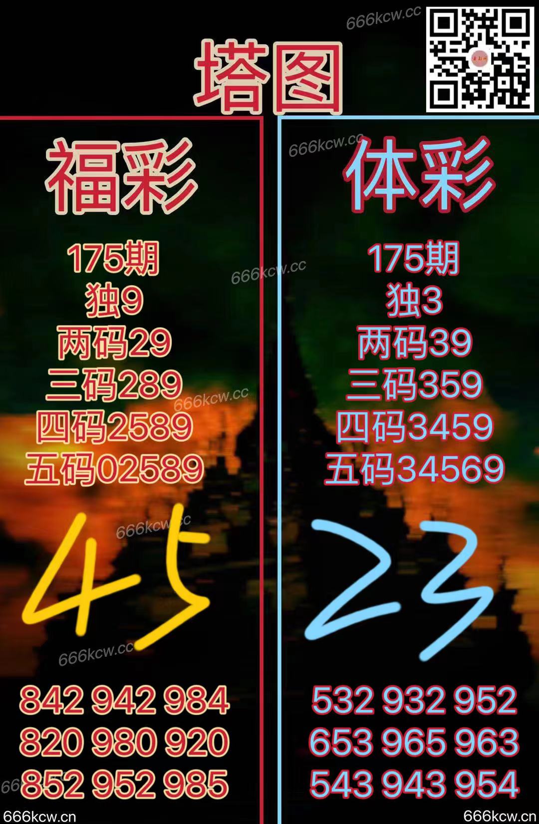 20250704 (24)