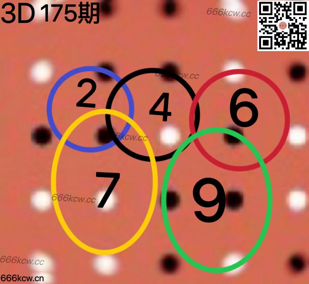20250704 (8)