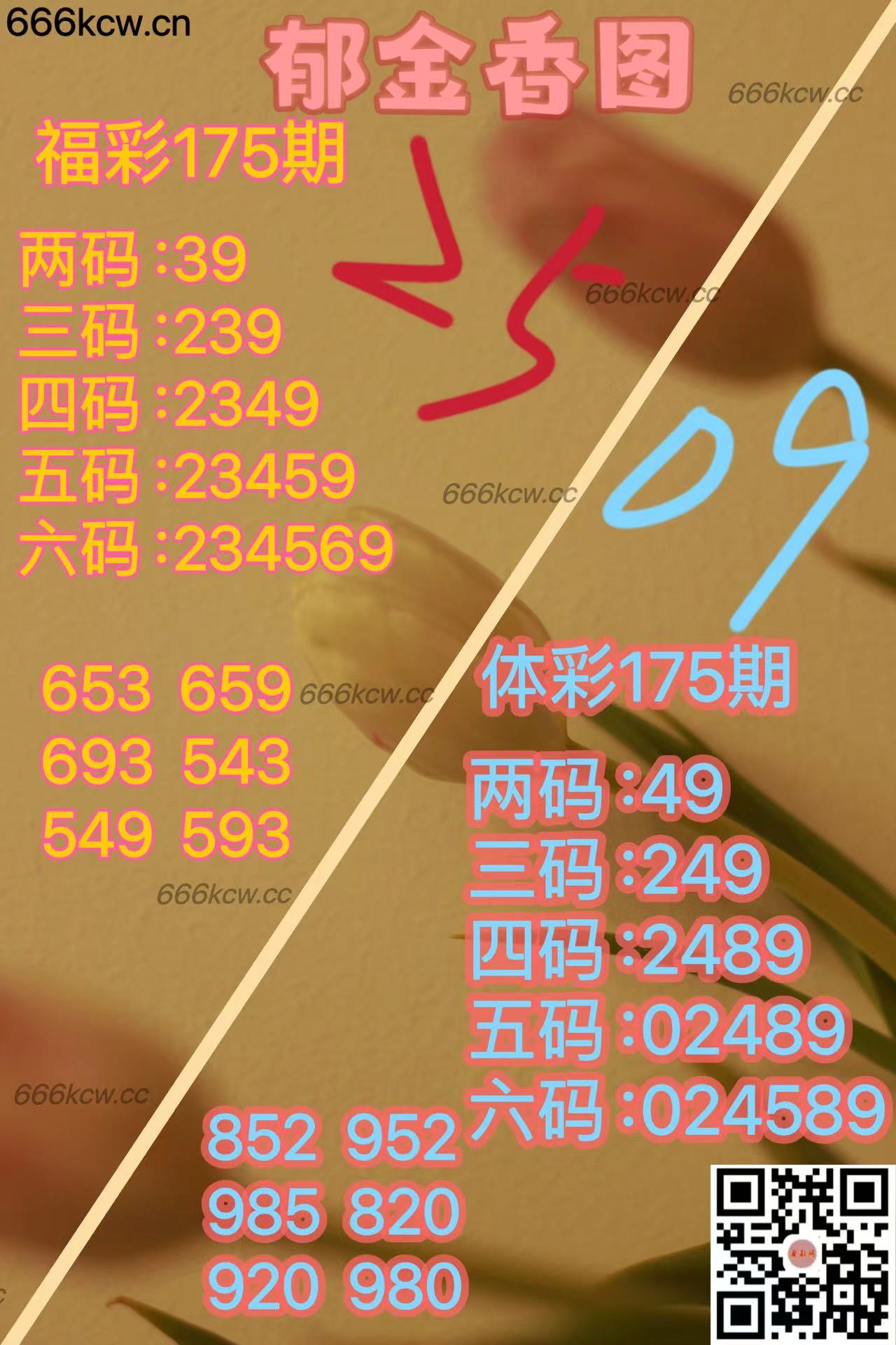 20250704 (23)