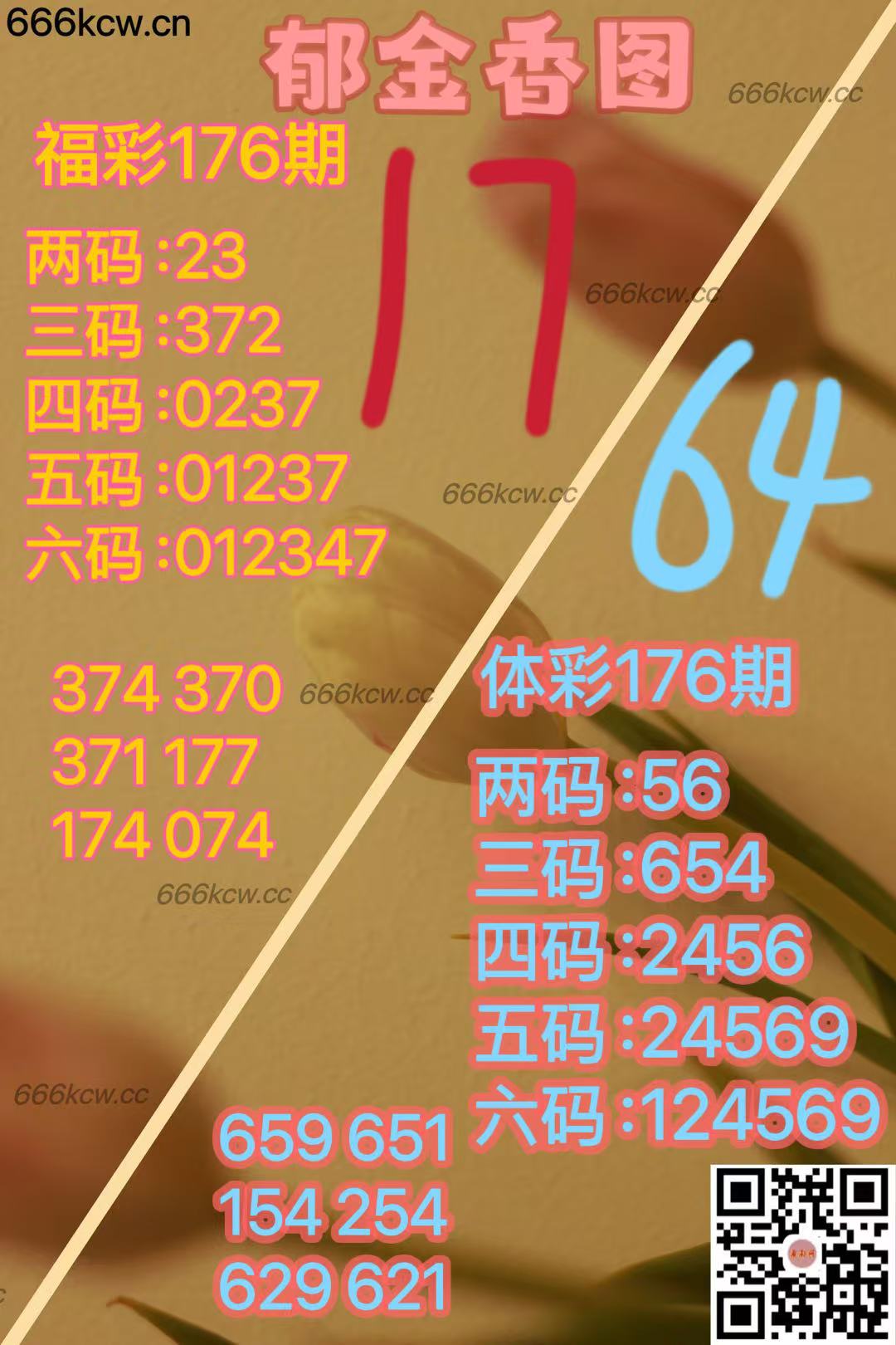 20250705 (21)