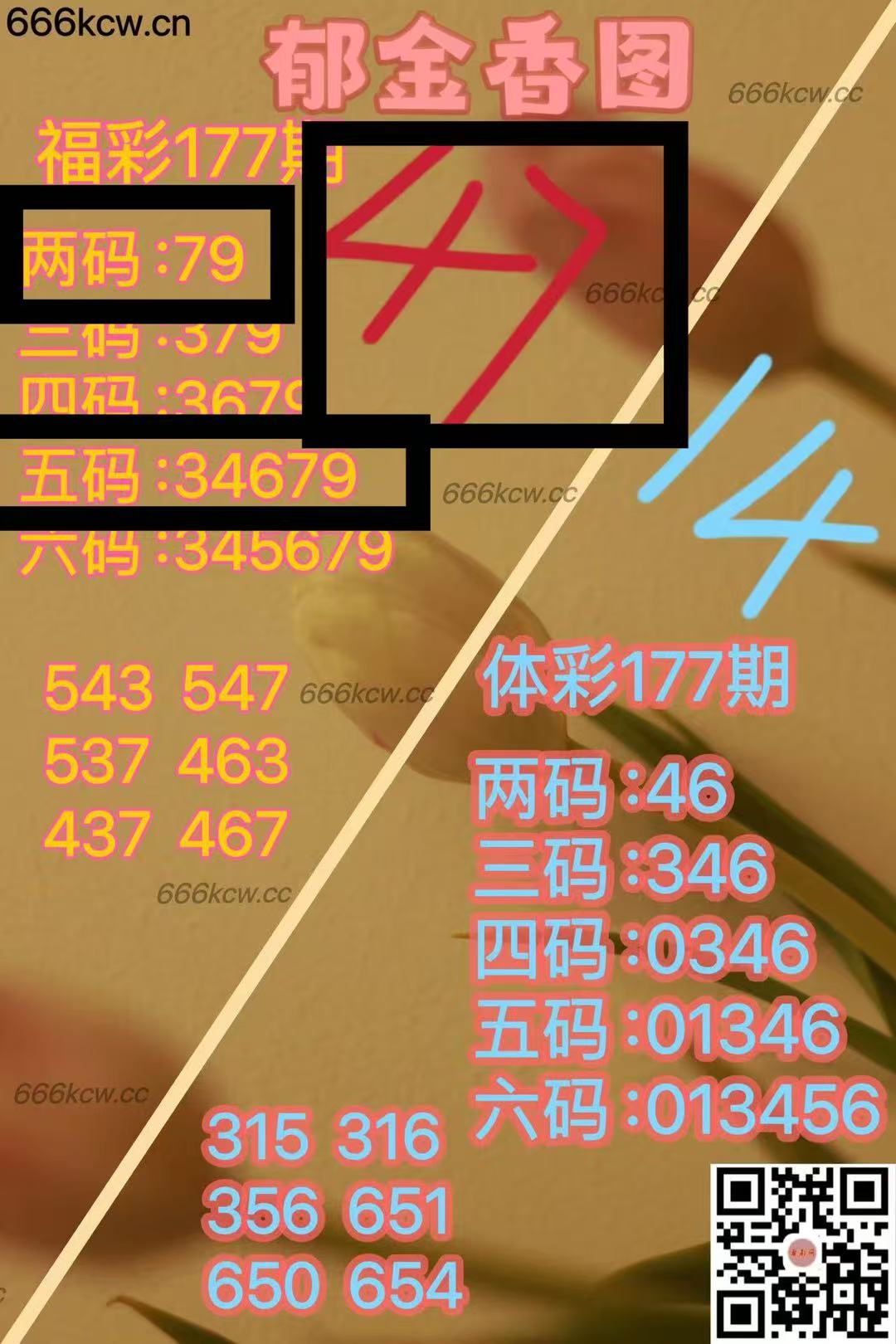 微信图片_20250707025332_552