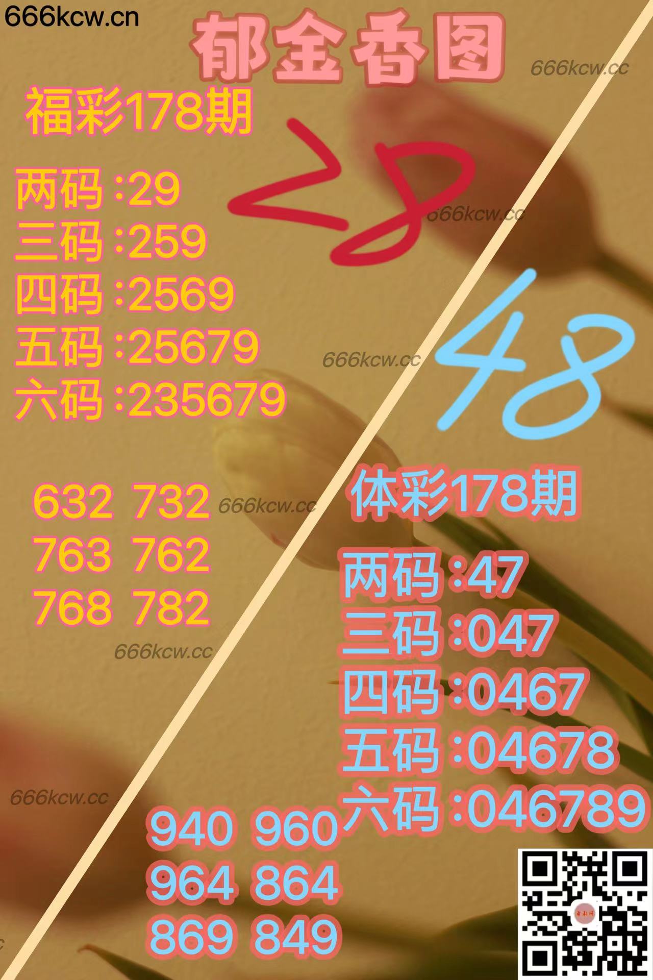 20250707 (39)