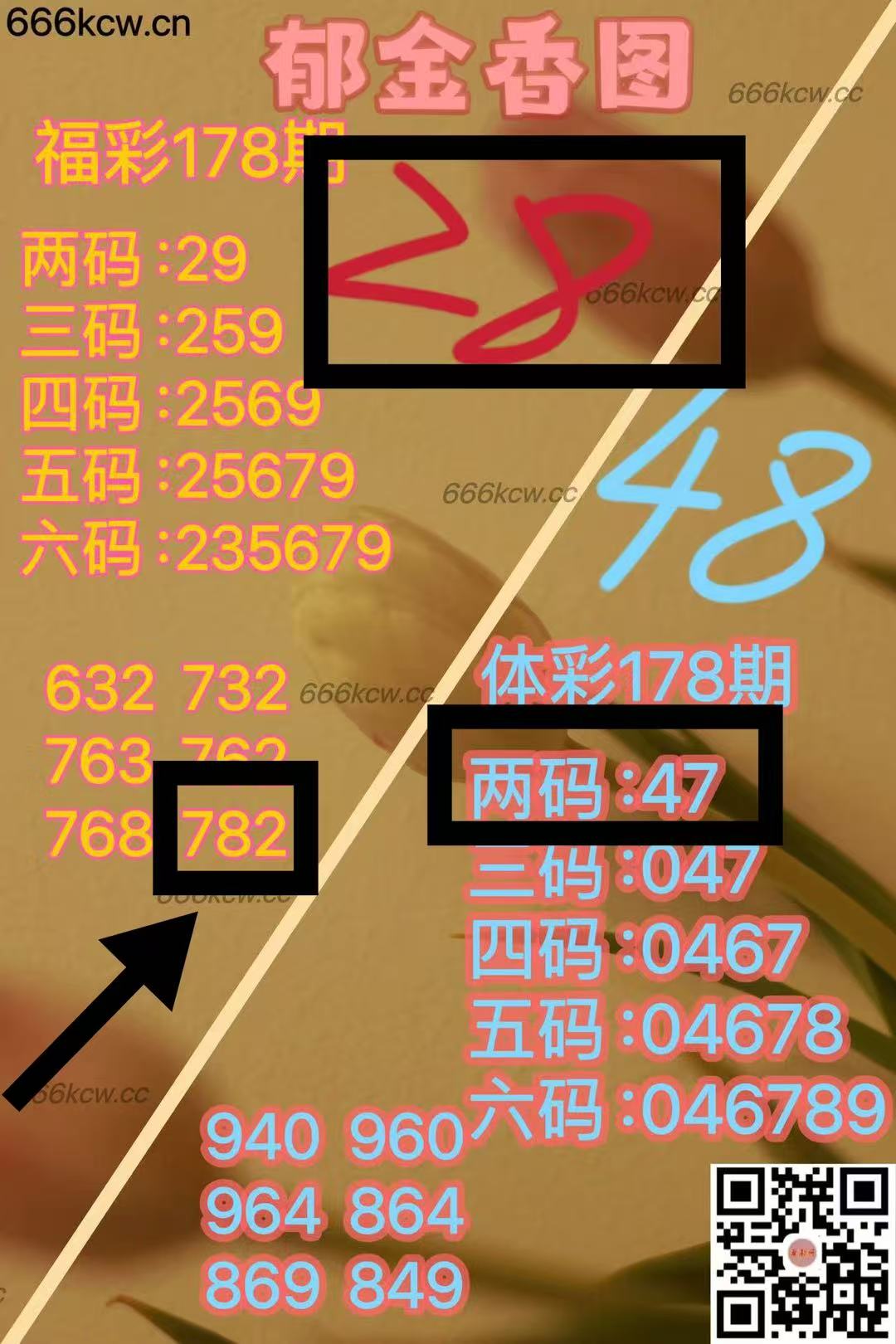 微信图片_20250708014858_583