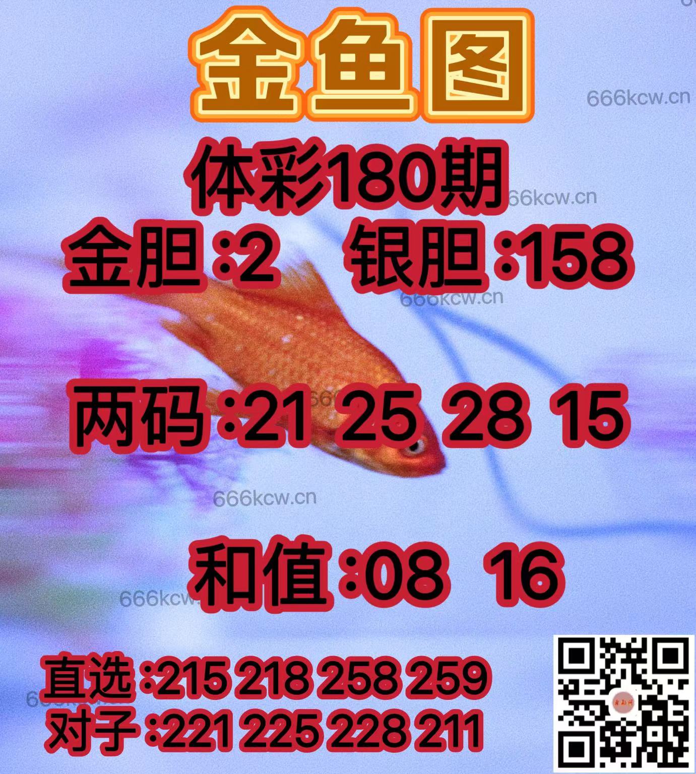 20250709 (22)