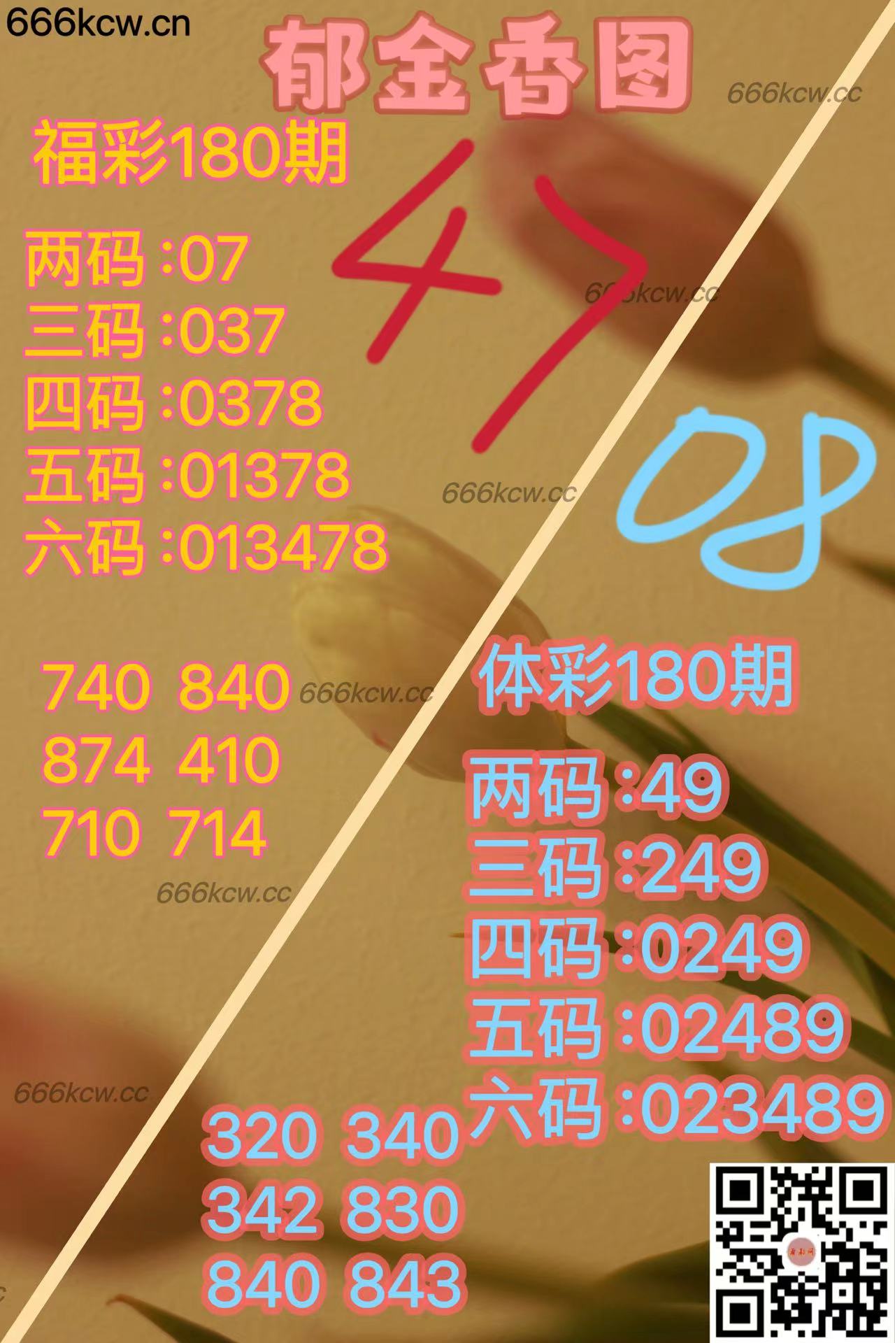 20250709 (41)