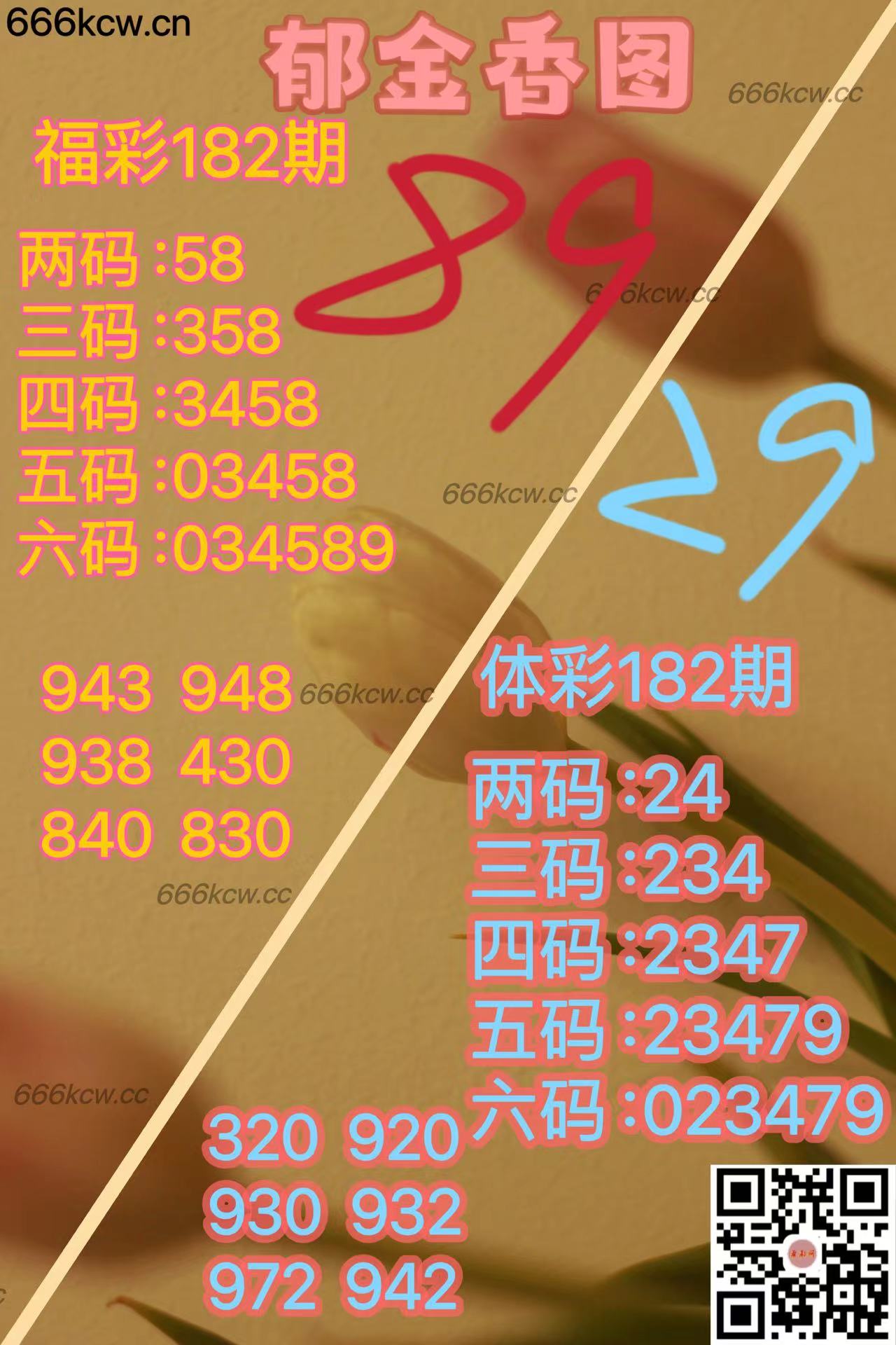 20250711 (39)