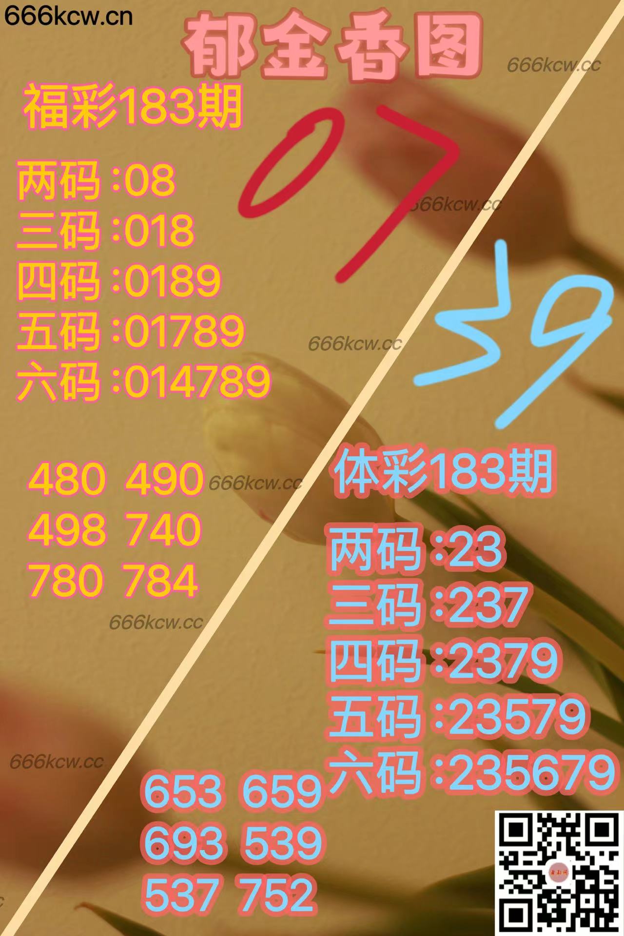 20250712 (38)