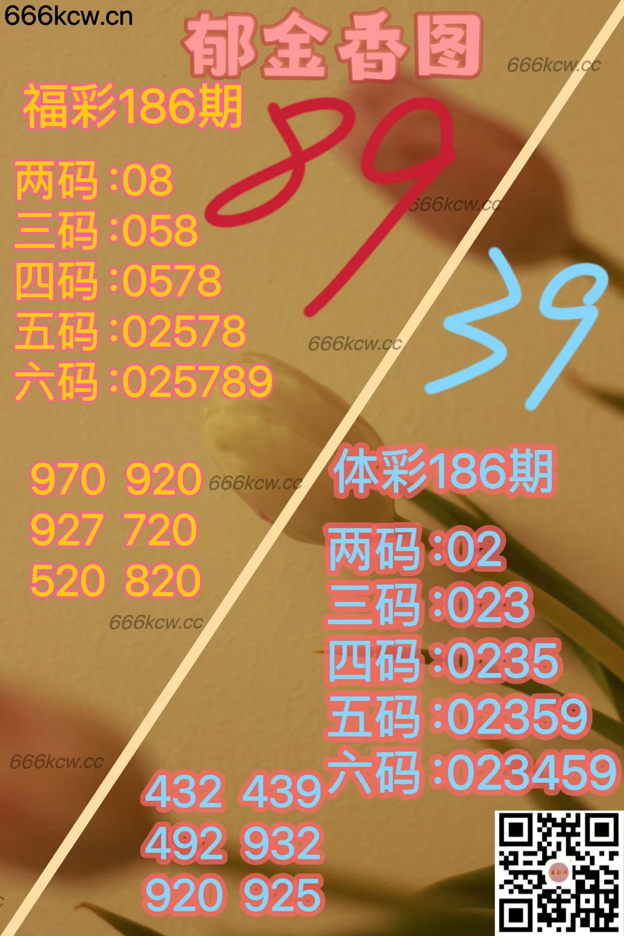 20250715 (39)