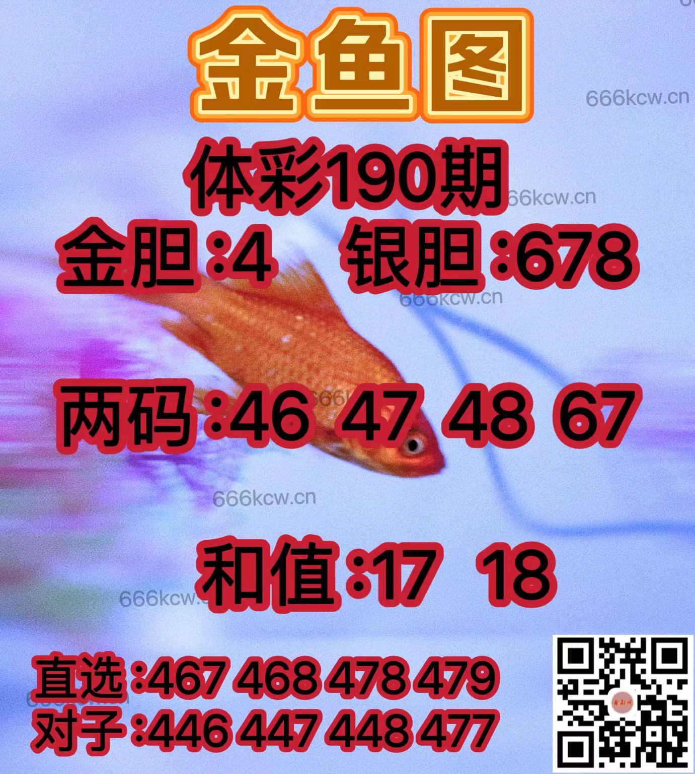 20250719 (38)