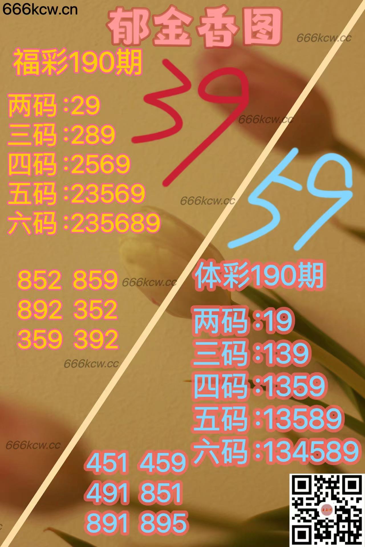 20250719 (21)