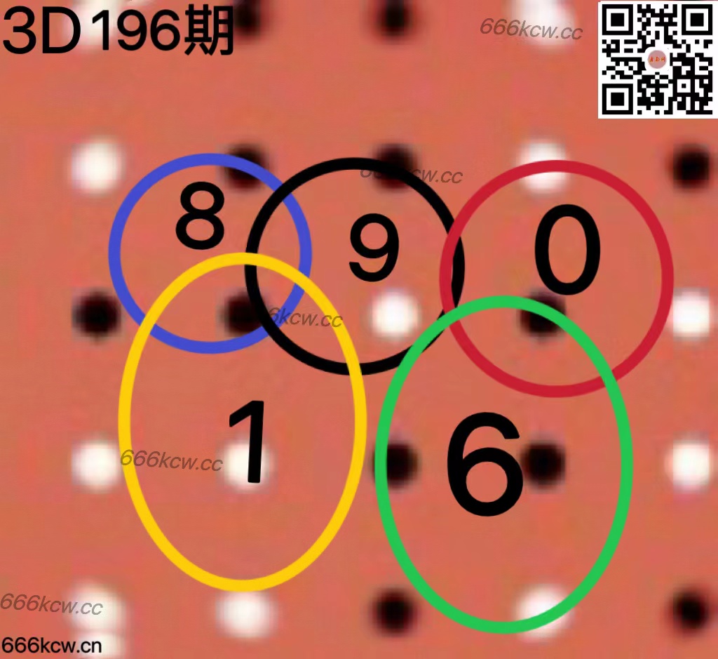 20250725 (4)