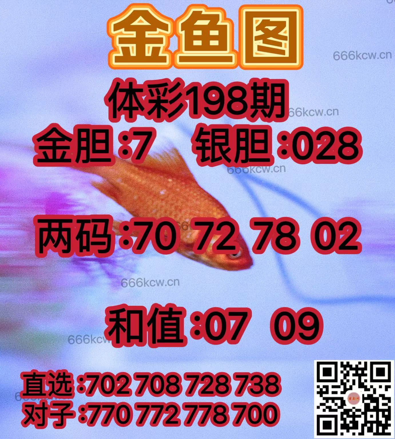 20250727 (3)