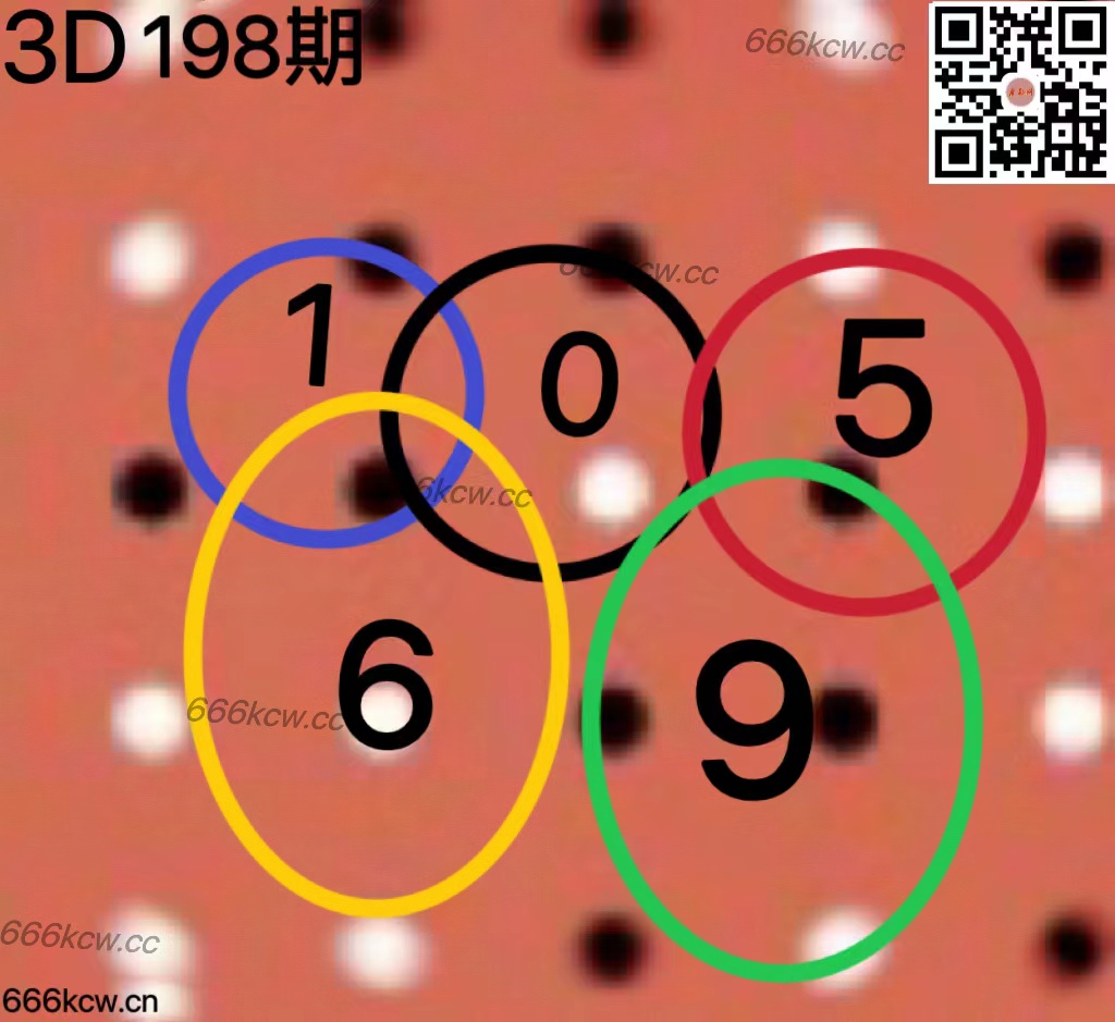 20250727 (8)
