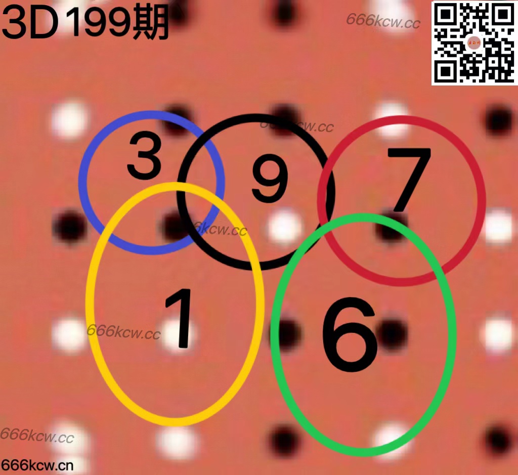 20250728 (4)