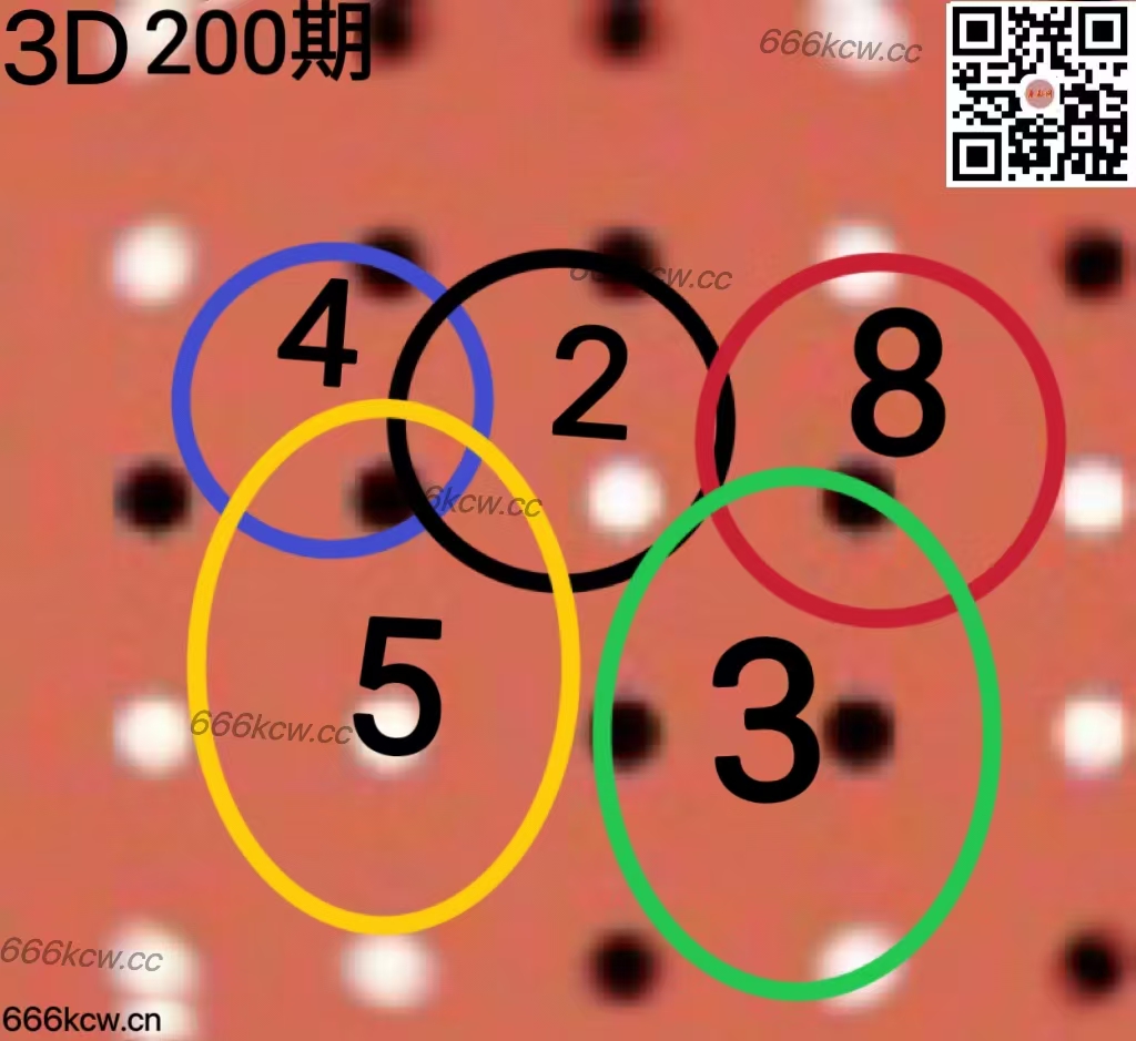 20250729 (37)