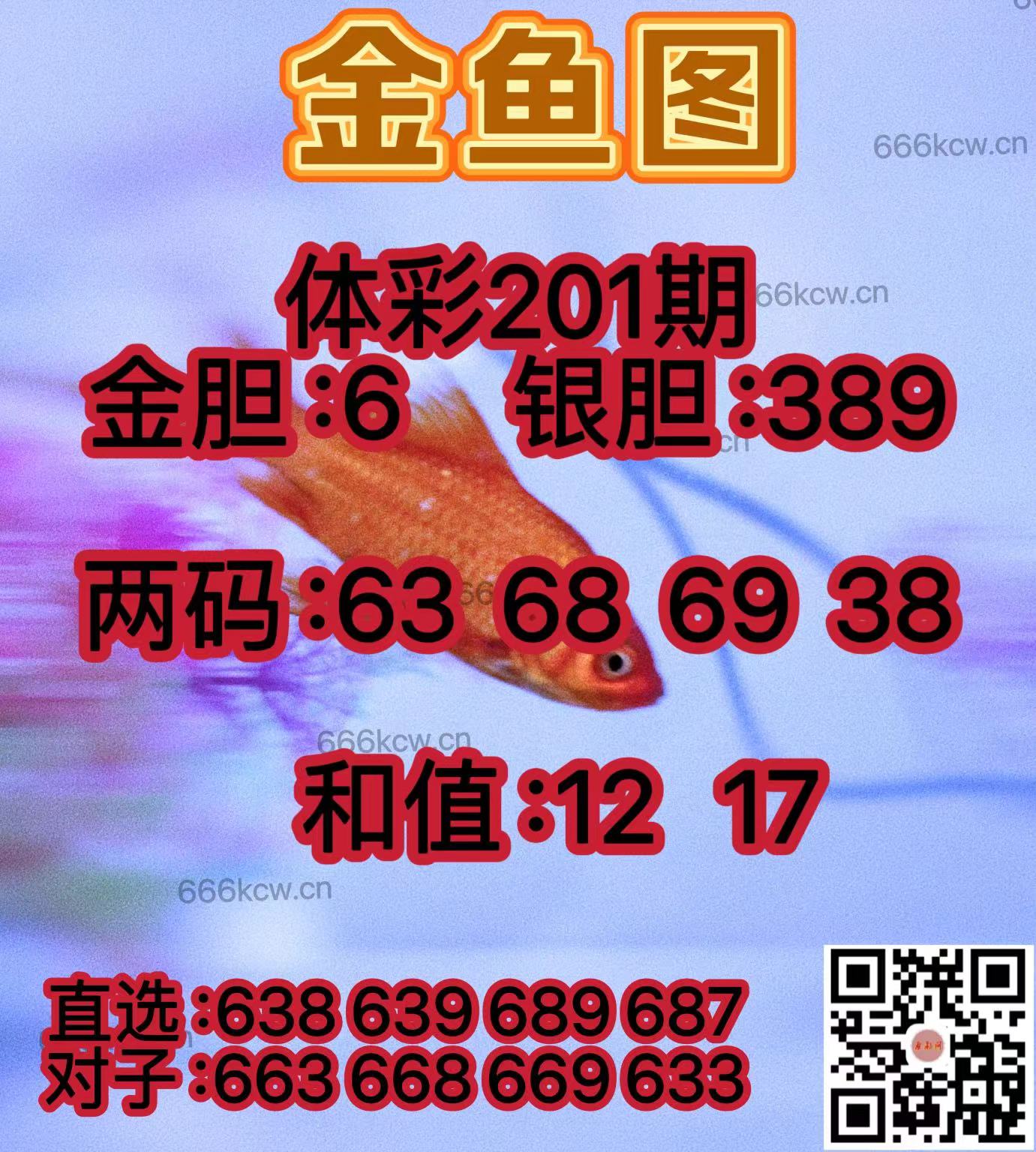 20250730 (40)
