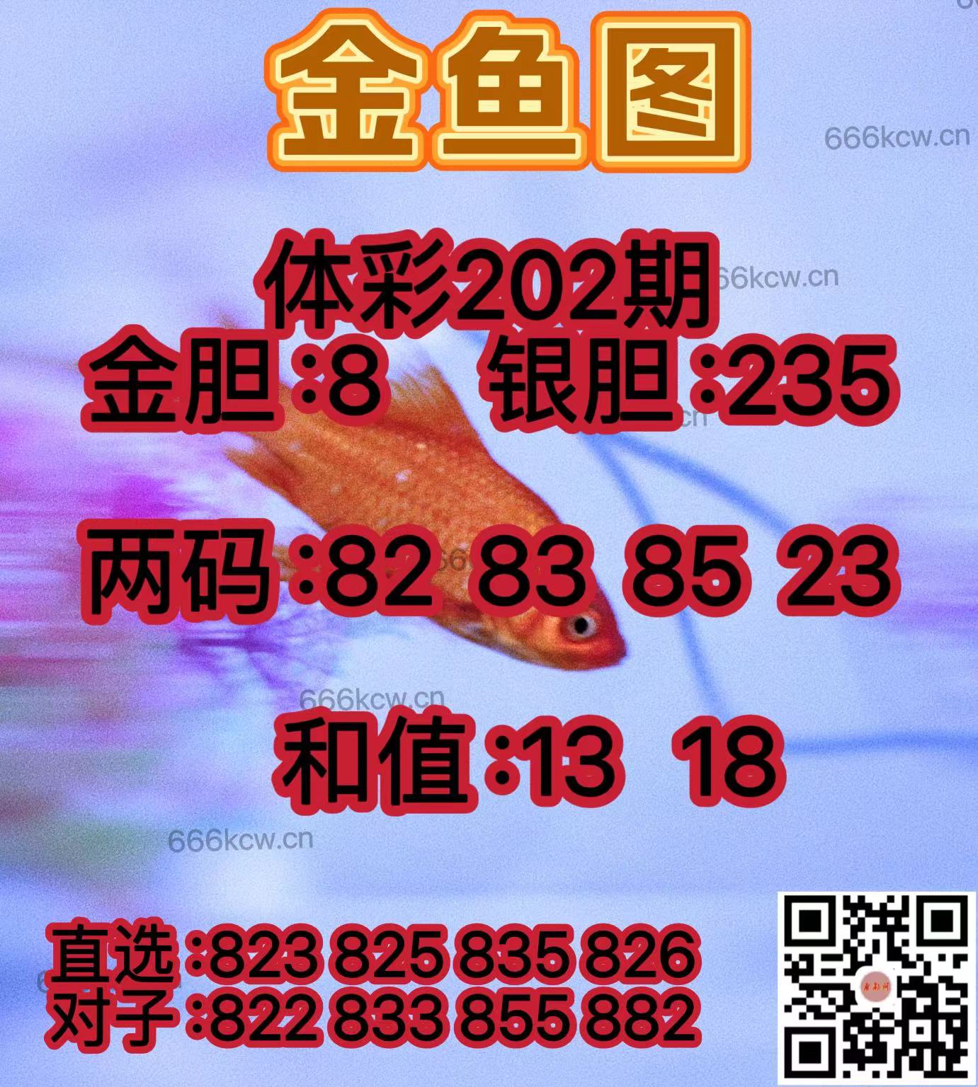 20250731 (22)