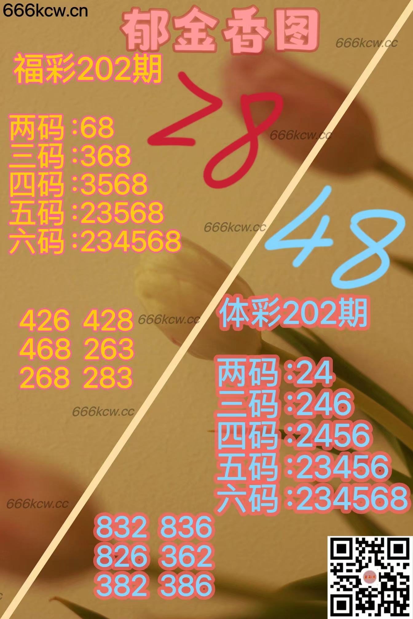 20250731 (24)
