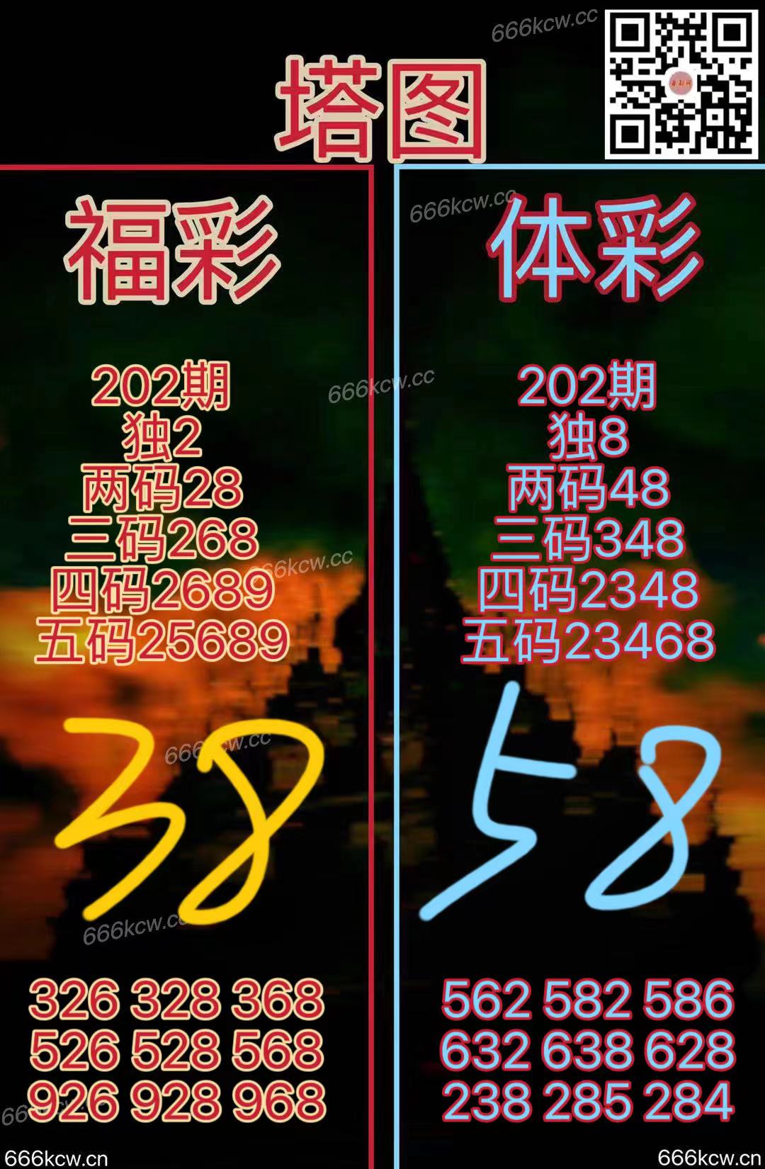 20250731 (41)