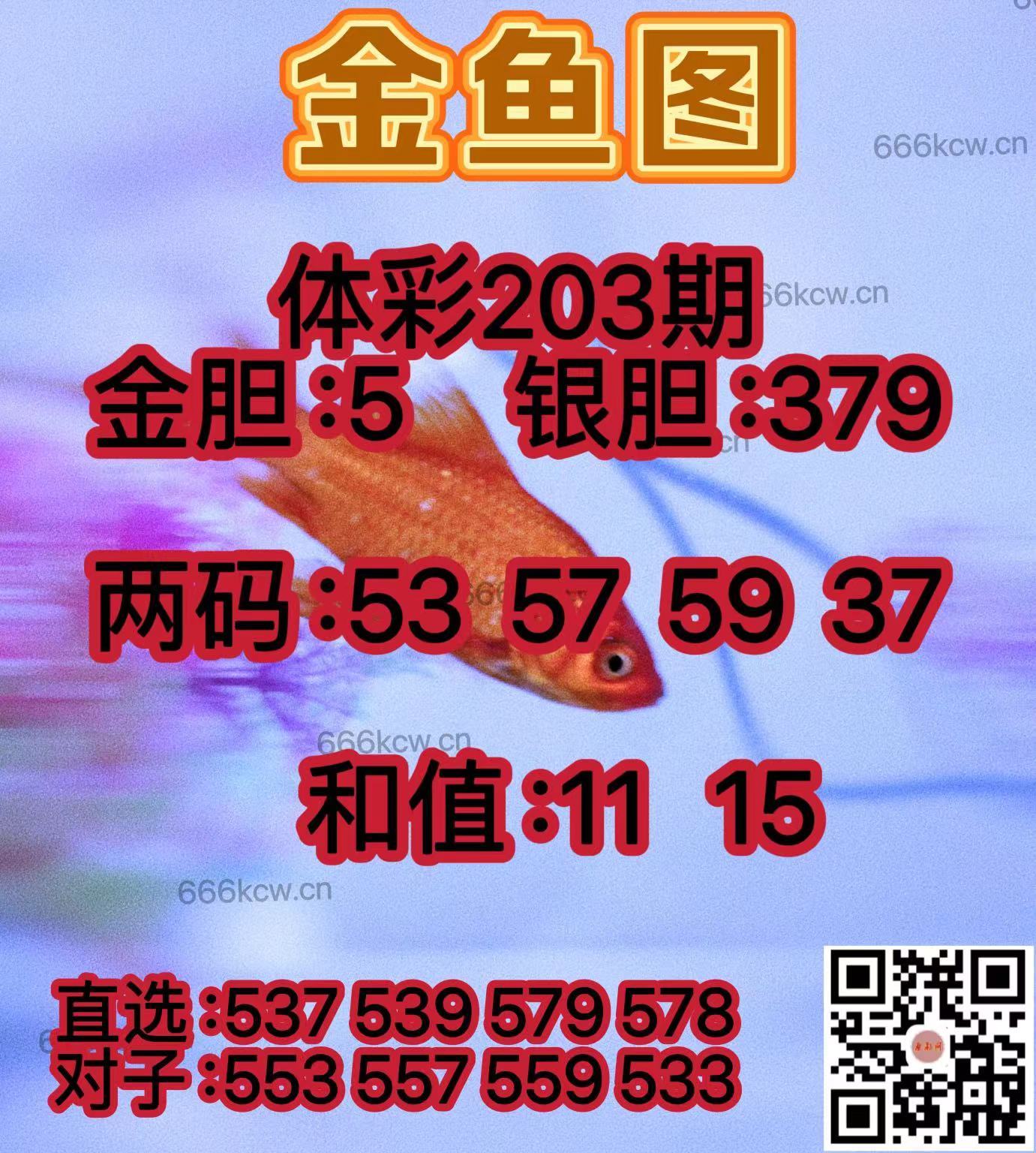 20250801 (40)