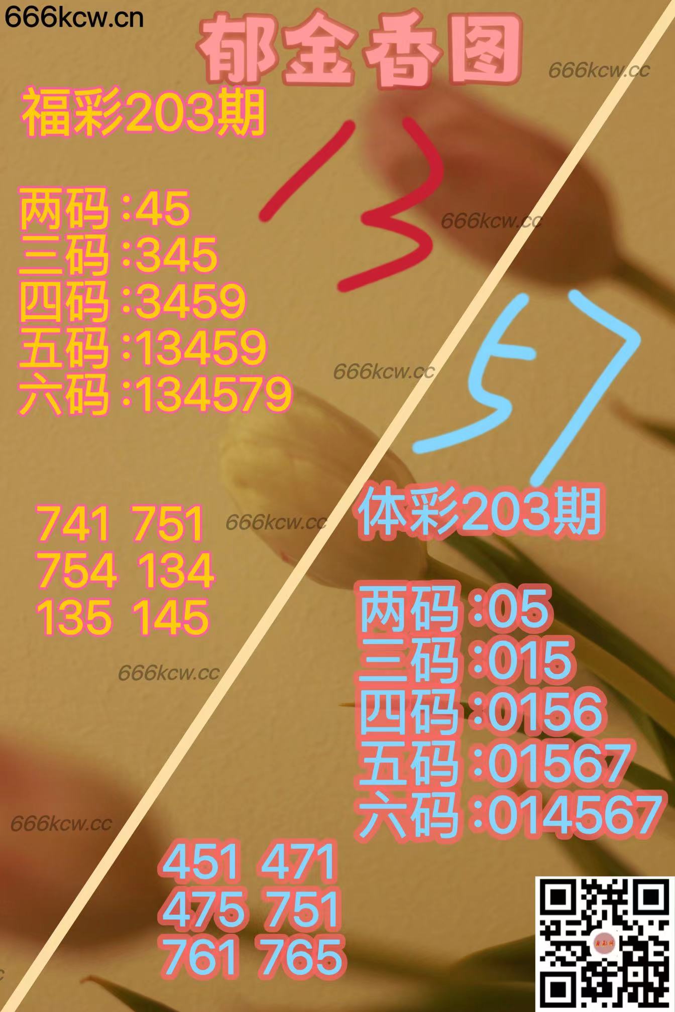 20250801 (35)