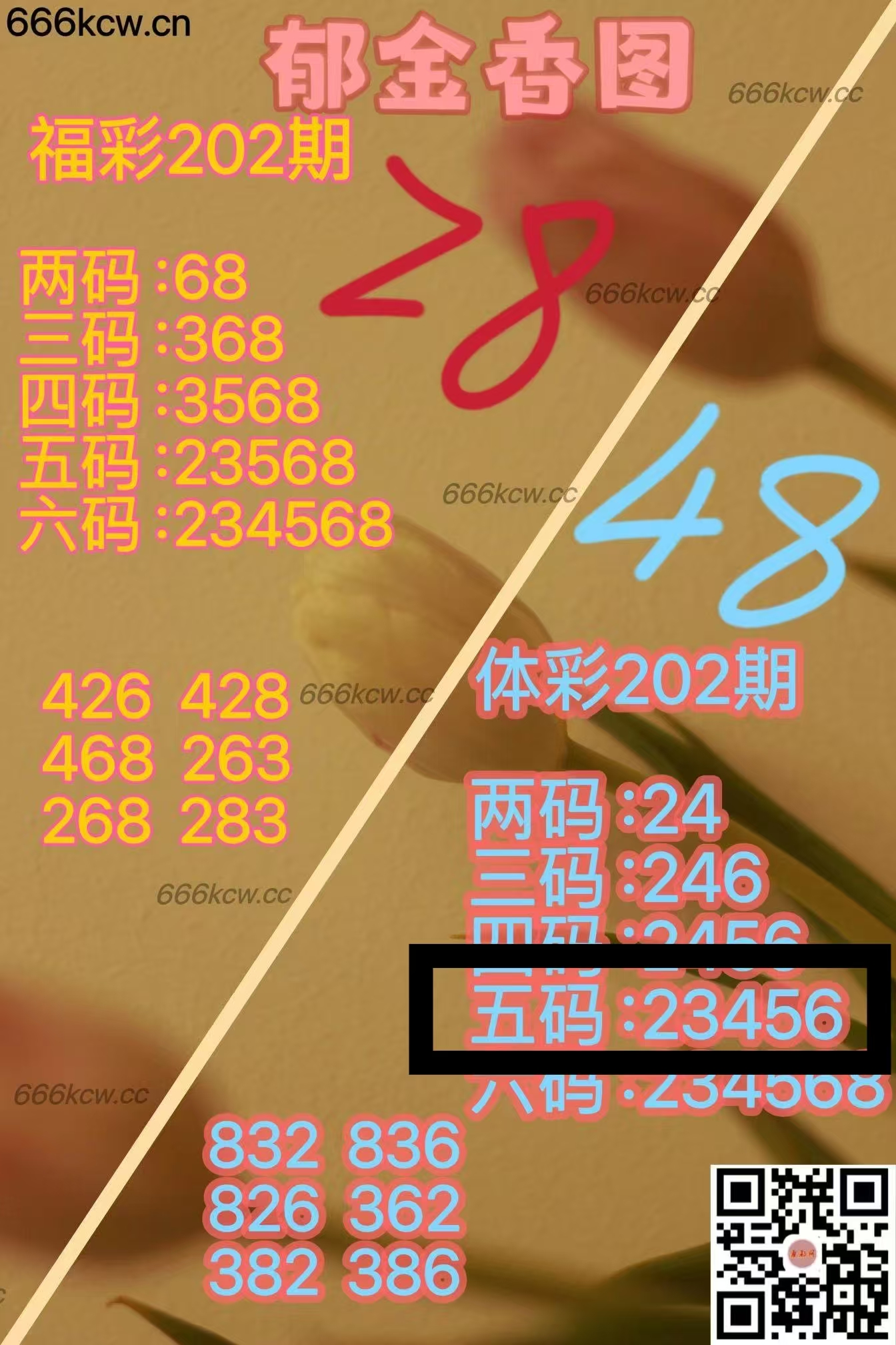 微信图片_20250801032703_284