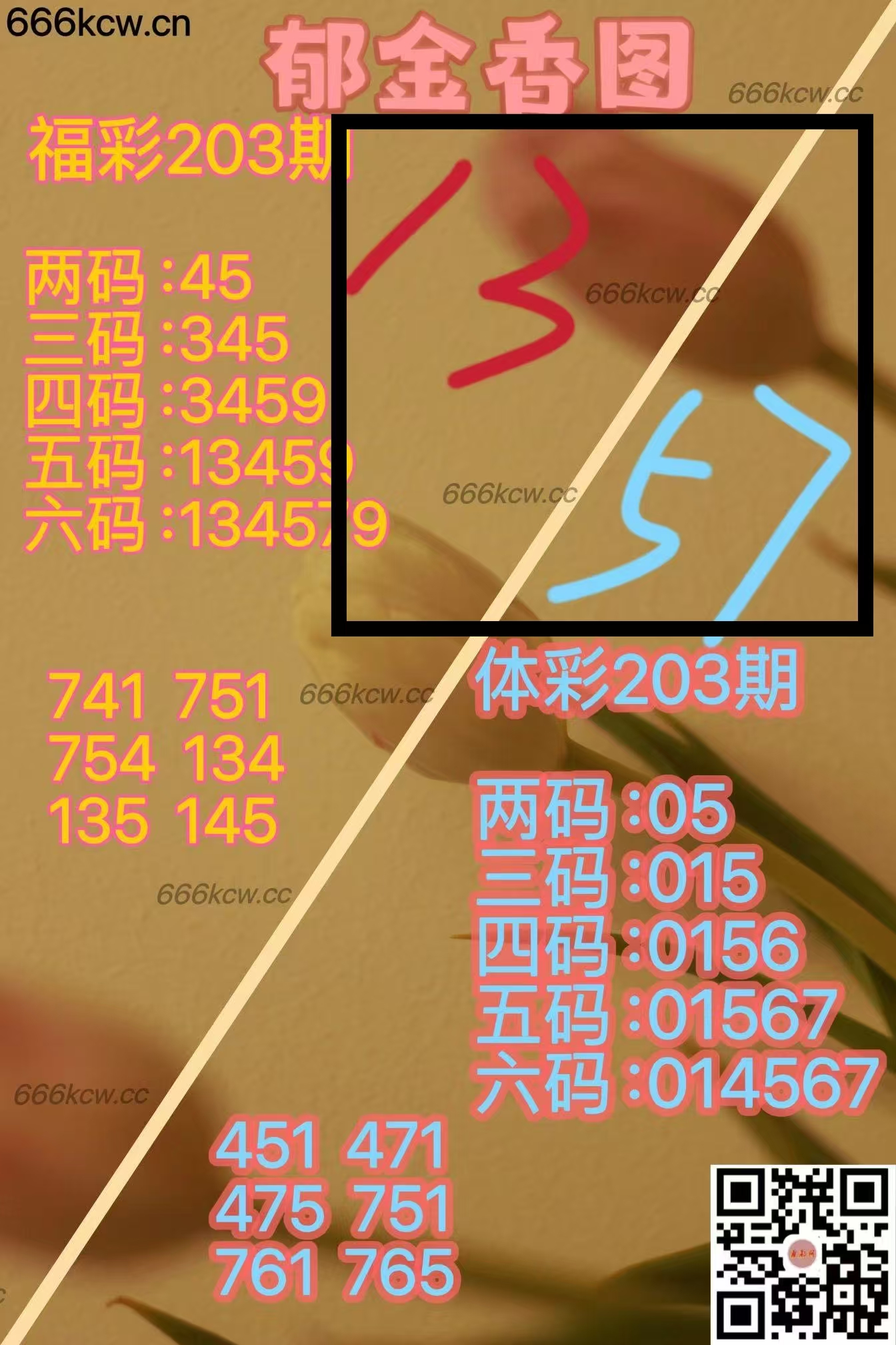 微信图片_20250802035124_304